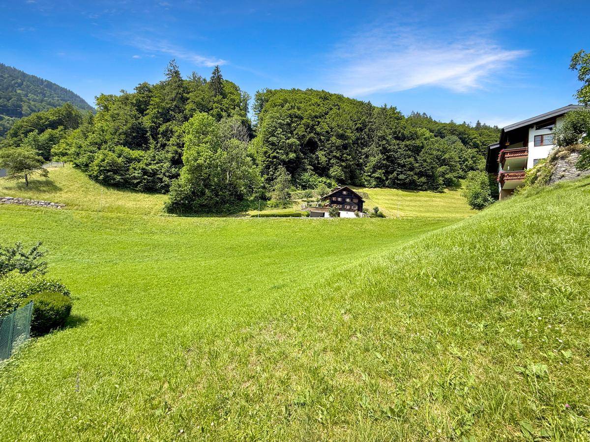Idyllische Landschaft mit grünen Wiesen, einem Haus am Waldrand und bewaldeten Bergen.