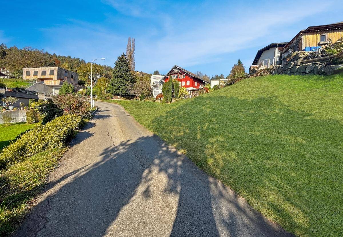 Asphaltierte Straße schlängelt sich einen grünen Hang hinauf, gesäumt von Wohnhäusern und Bäumen.