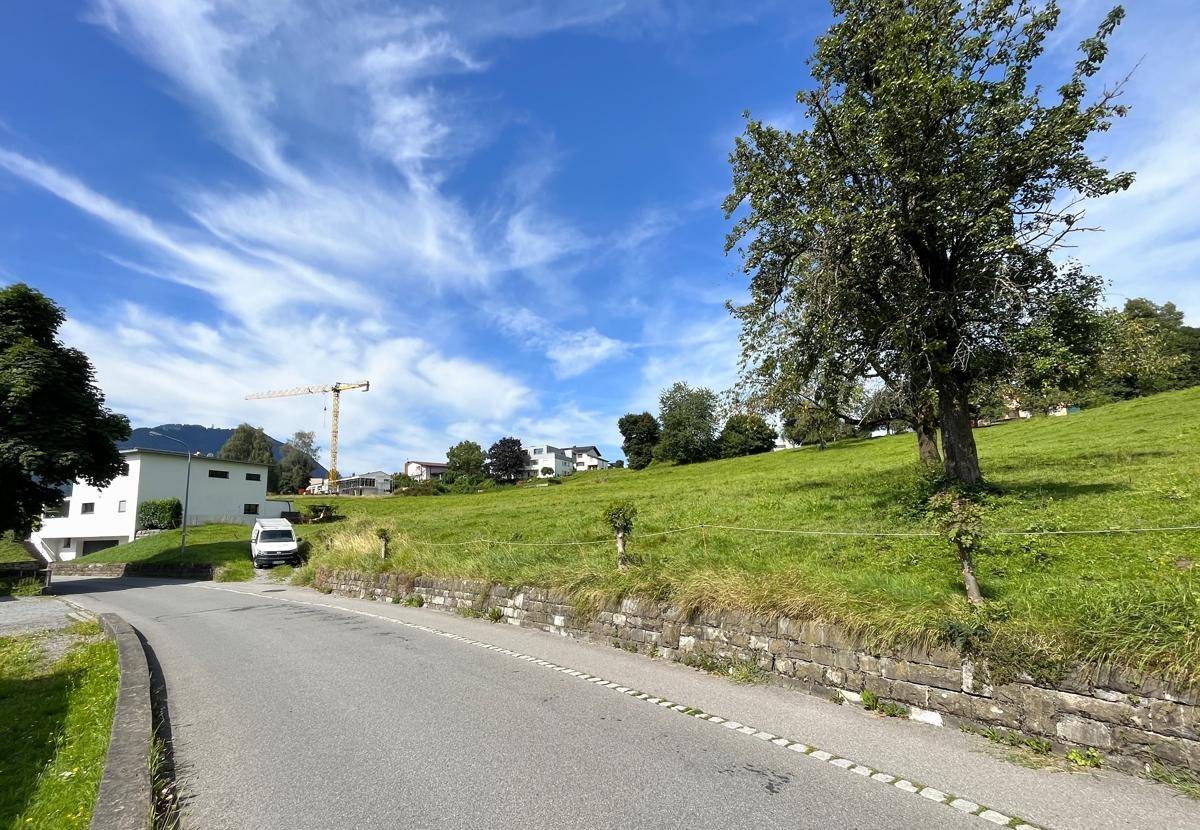 Straße entlang einer grünen Böschung mit einem Baum, Häusern und Bergen im Hintergrund unter blauem Himmel.