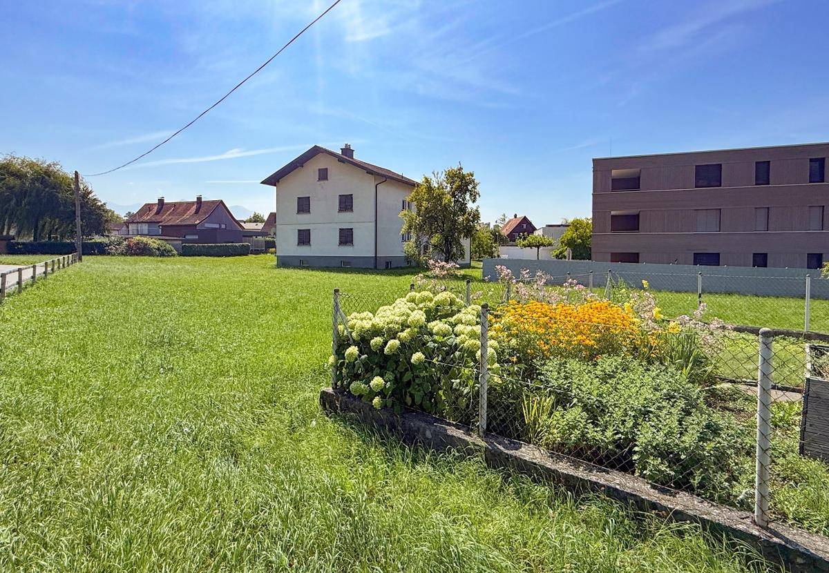 Sonnige Grünfläche mit Blumenbeet, einem älteren Haus und einem modernen Gebäude im Hintergrund unter blauem Himmel.