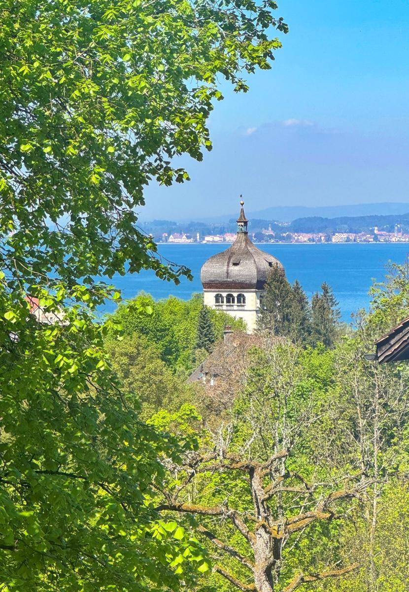 Malerischer Blick auf einen Kirchturm und den See, umrahmt von frischem grünen Laub.