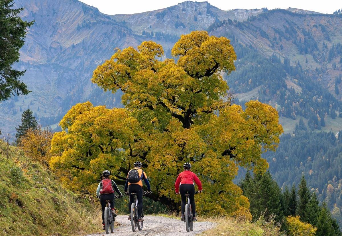 herrliche Bike-Touren