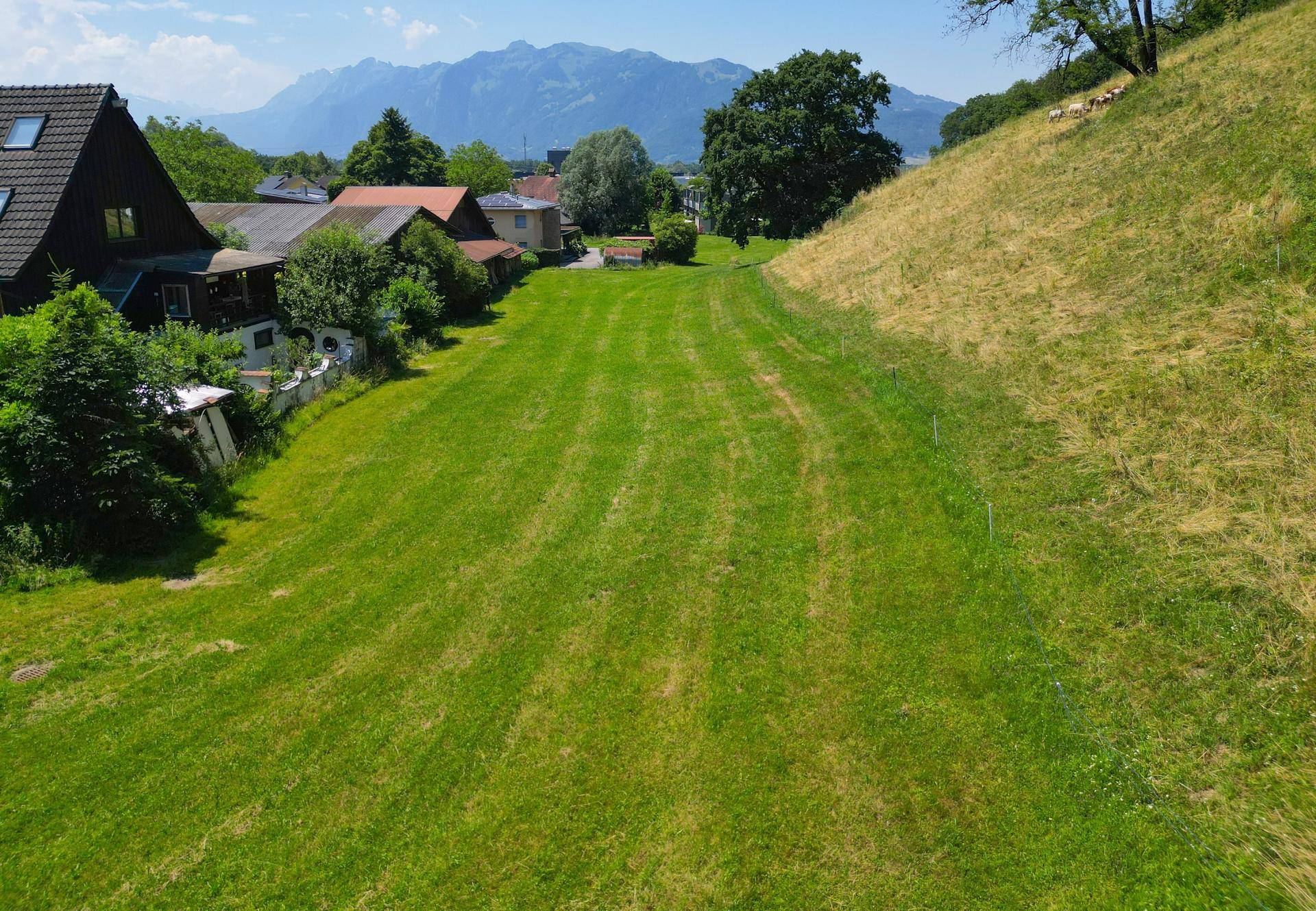 Großzügiges Grundstück am Sattelberg in Klaus – Natur, Ruhe und beste Anbindungen - Ansicht 4