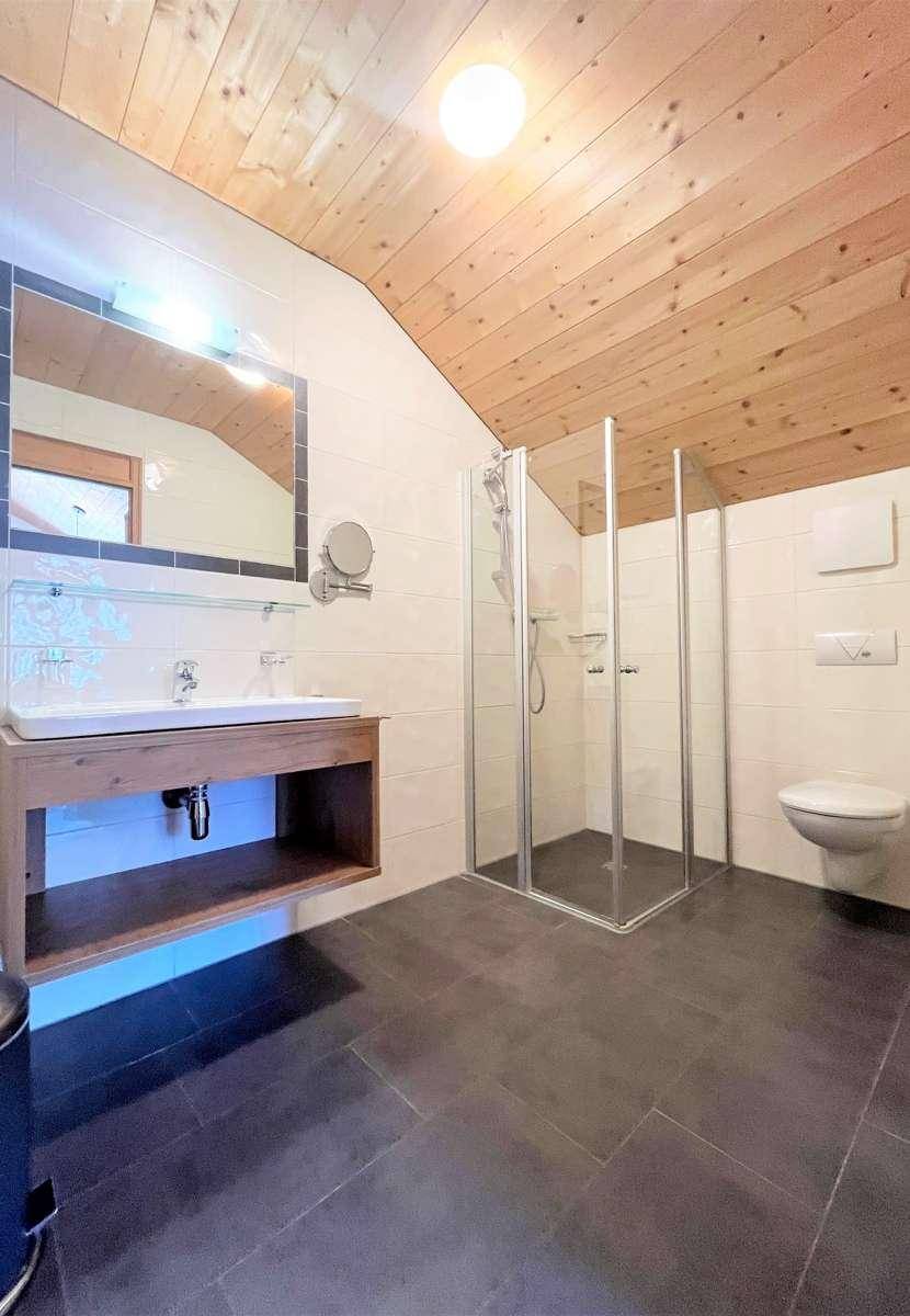 Modernes Badezimmer mit Duschkabine, Einzelwaschbecken und WC, unter einer schrägen Holzdecke.