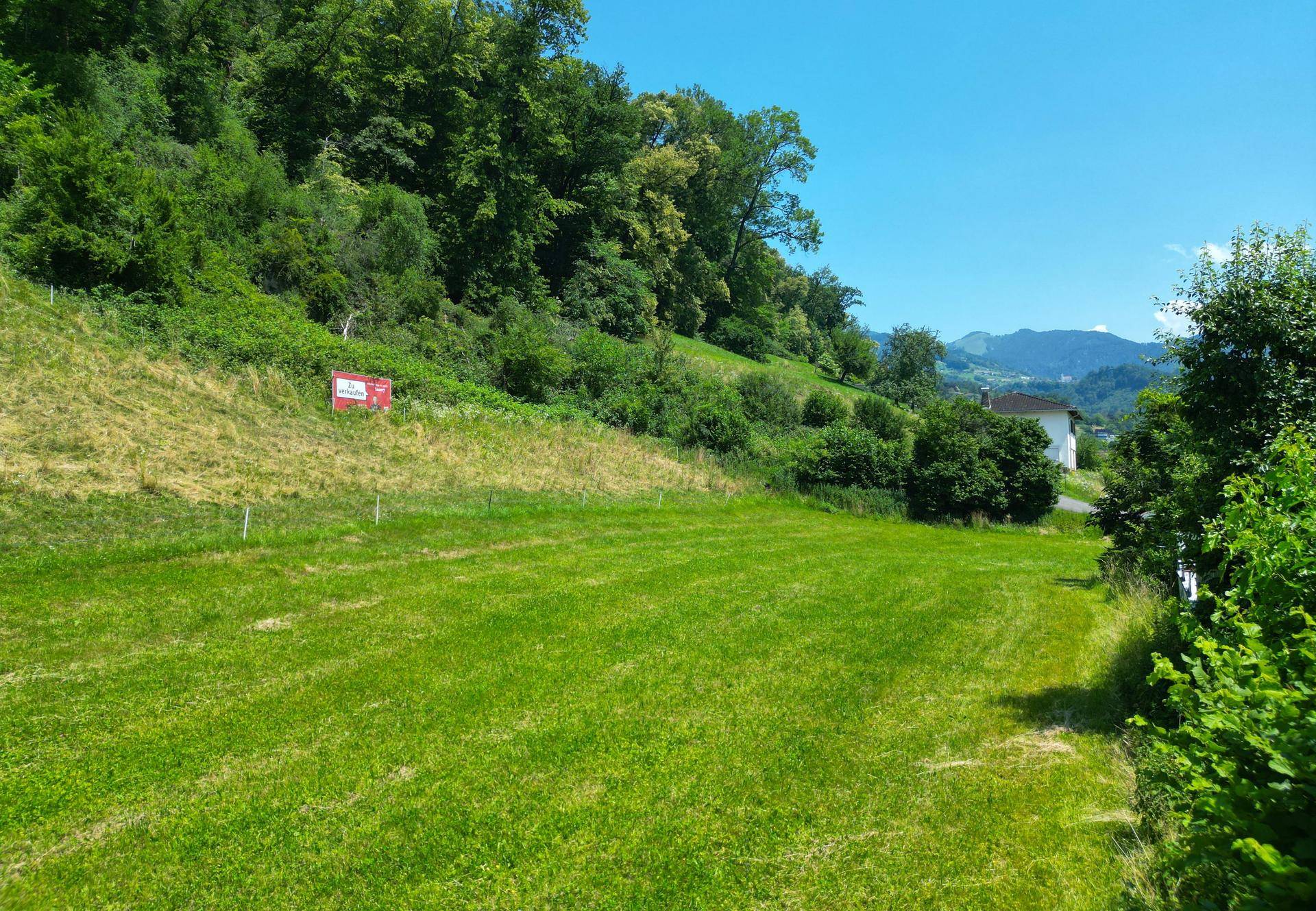 Großzügiges Grundstück am Sattelberg in Klaus – Natur, Ruhe und beste Anbindungen - Ansicht 2