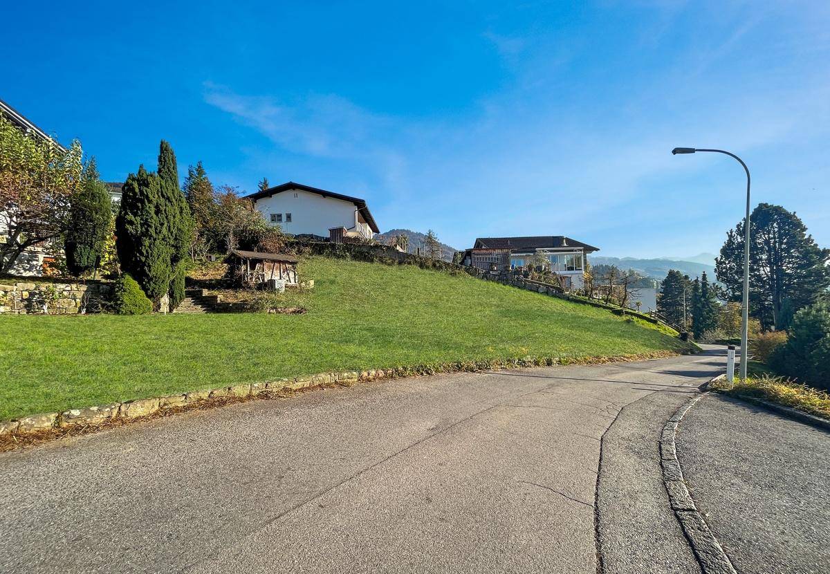 Kurvige Straße mit angrenzender Grünfläche und Wohnhäusern in der Ferne unter blauem Himmel.