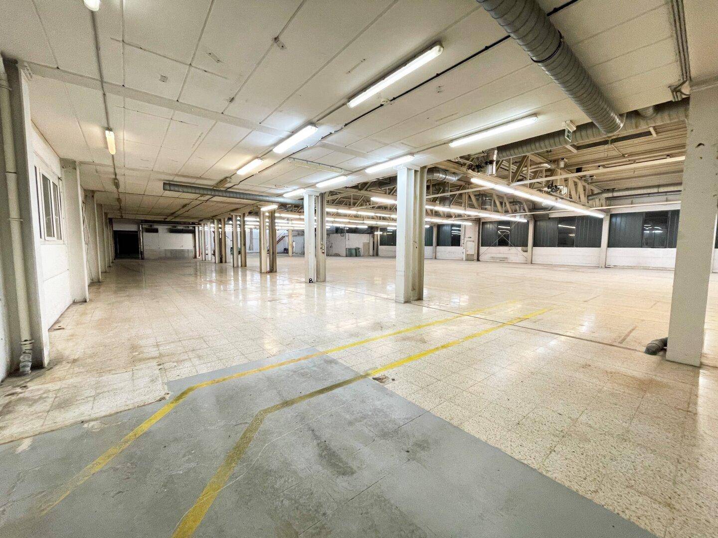 Heller, weitläufiger Lagerraum mit hohen Decken, Industrieboden und gelben Markierungen.
