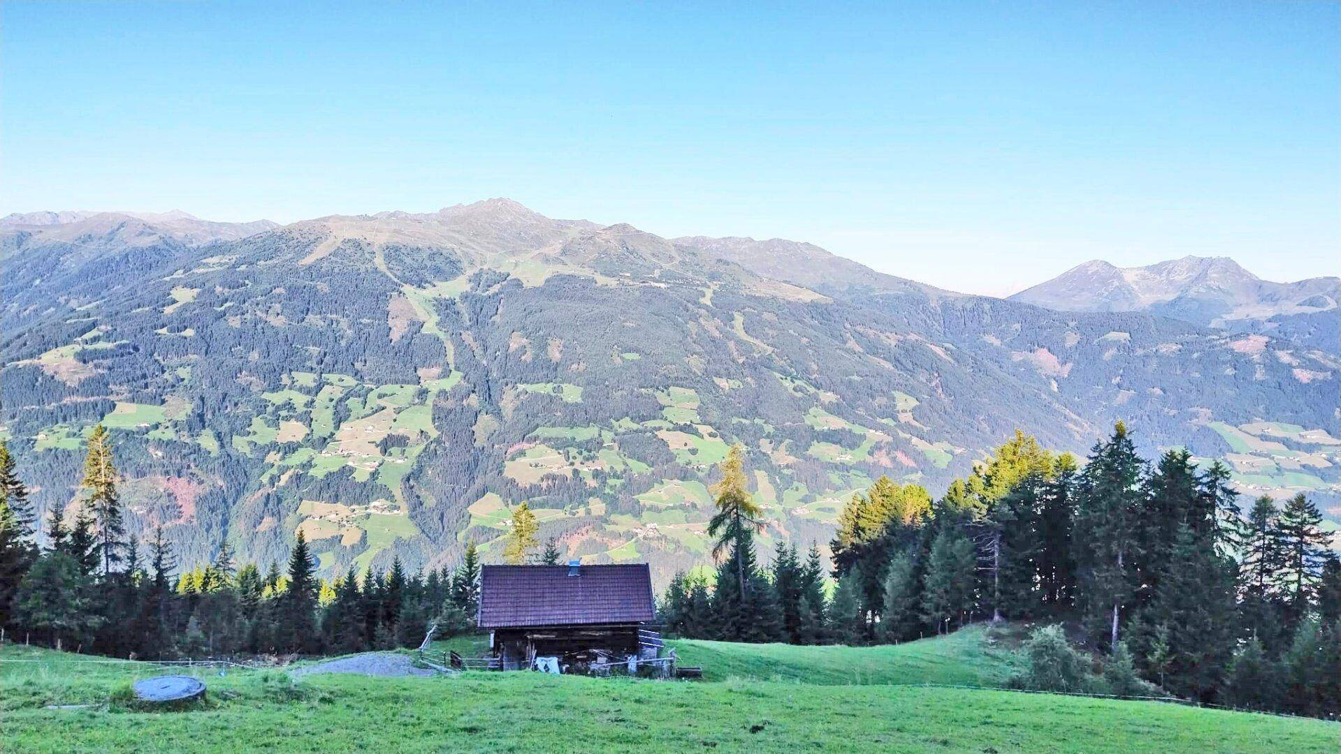 Abgelegene Holzhütte in den Bergen, umgeben von grünen Wiesen und dichten Wäldern.