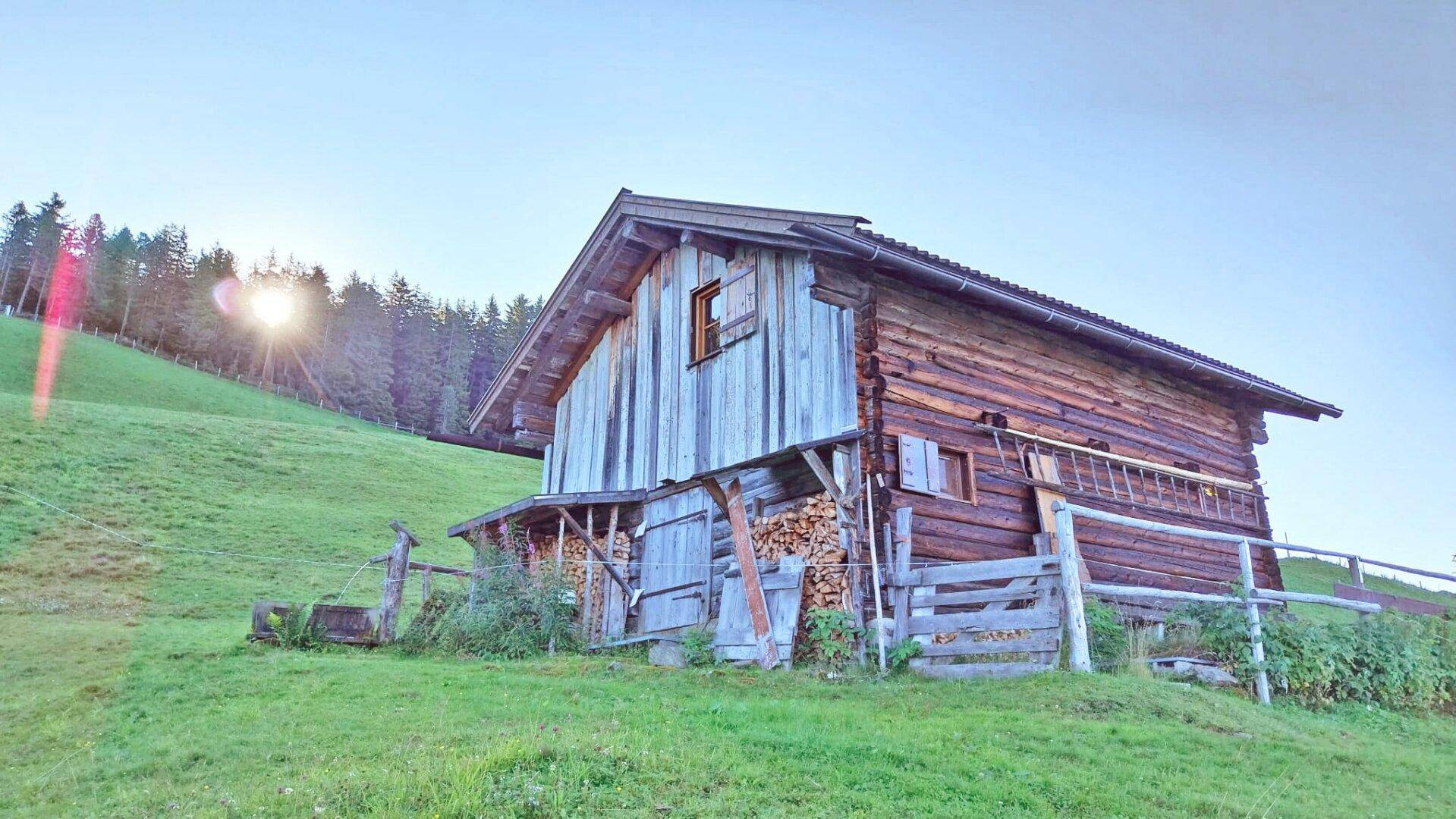 Seitenansicht der rustikalen Holzhütte mit gestapeltem Brennholz und Solarpaneel auf dem Dach.