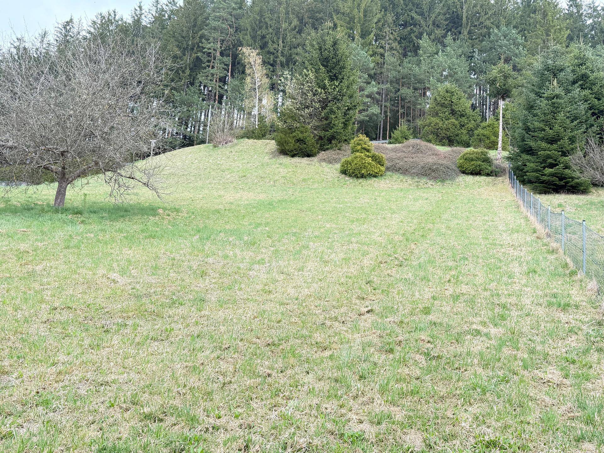 Naturbelassene Wiesenfläche mit Baumbestand und einem Zaun am Rand des Grundstücks.