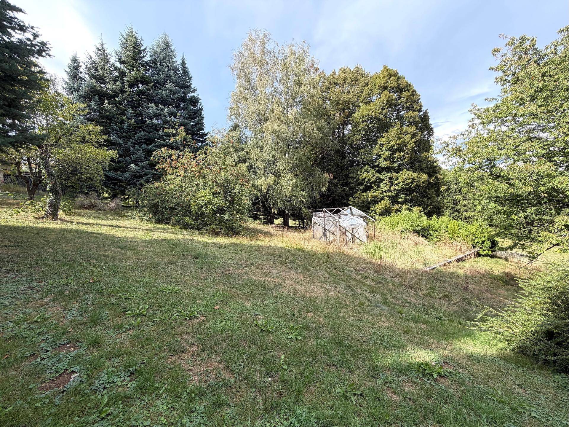 Grüner Garten mit leichtem Gefälle, umgeben von Bäumen und einem kleinen Gewächshaus im Hintergrund.