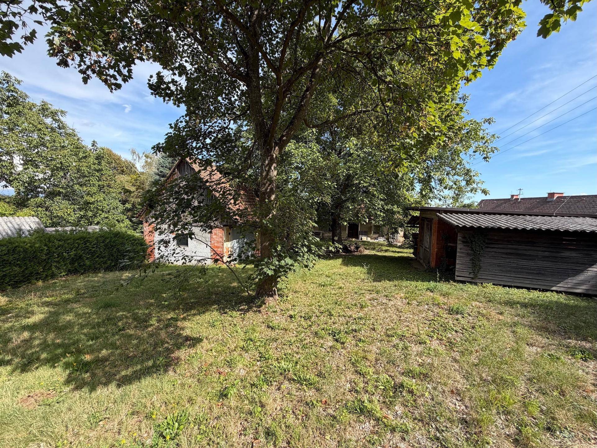 Weitläufiger Gartenbereich mit altem Baumbestand, Nebengebäuden und einem Holzschuppen.