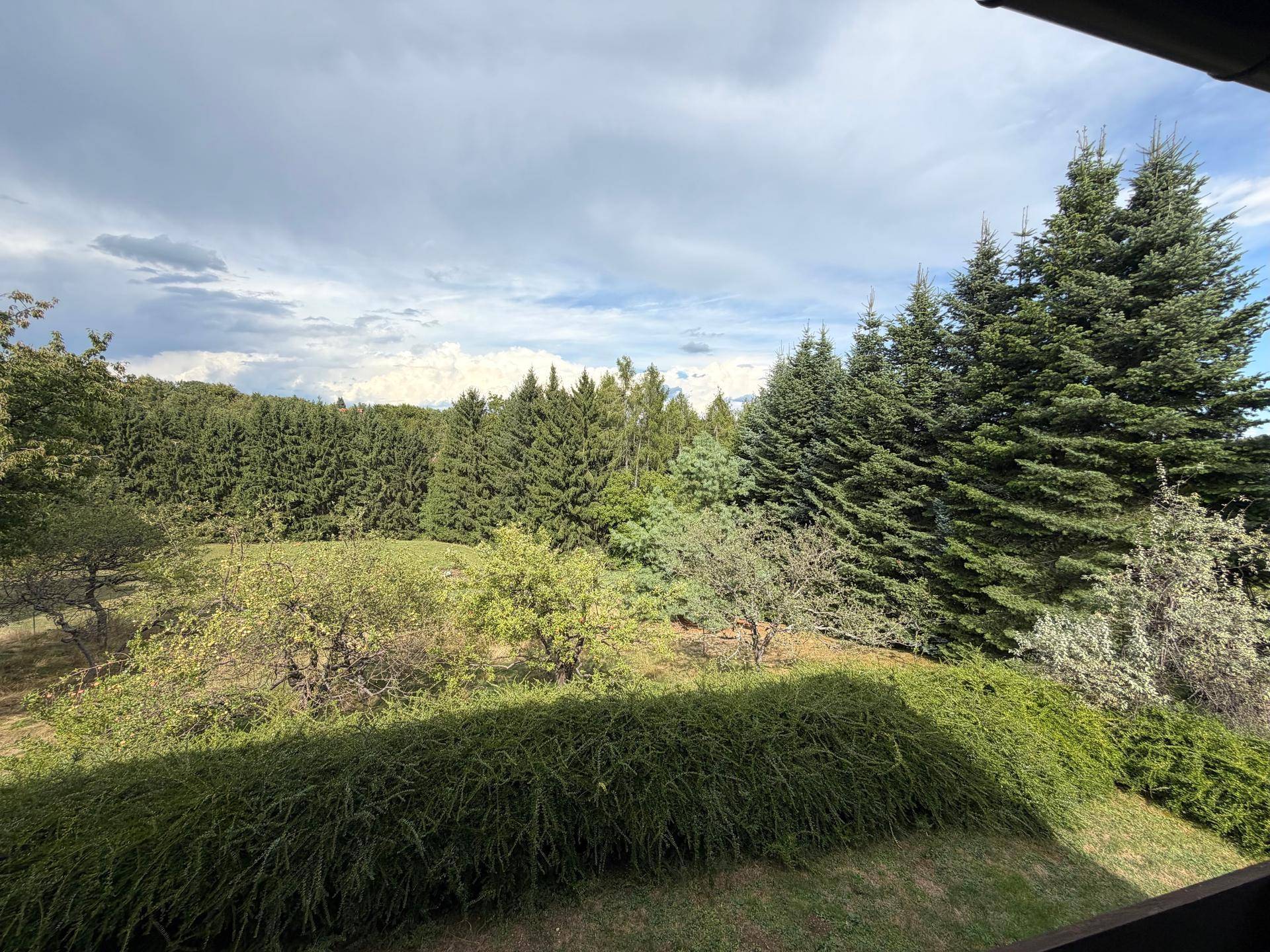 Weitläufiger Blick über die grüne Landschaft mit dichten Wäldern und Bäumen.