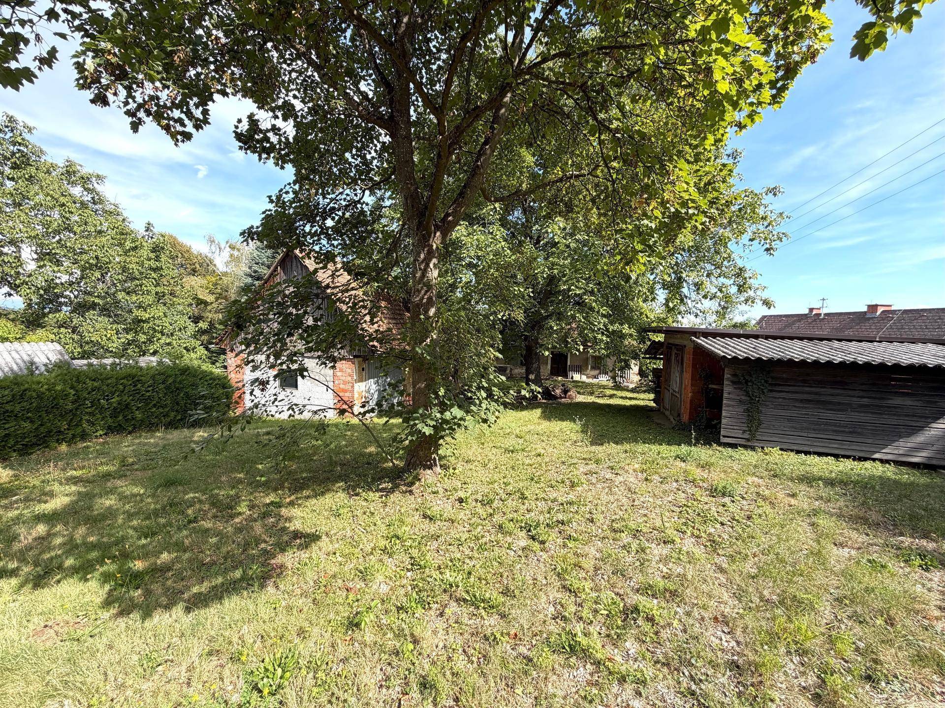 Ländliches Anwesen mit alten Gebäuden, einem großen Baum und einem Holzschuppen auf einer grünen Wiese.