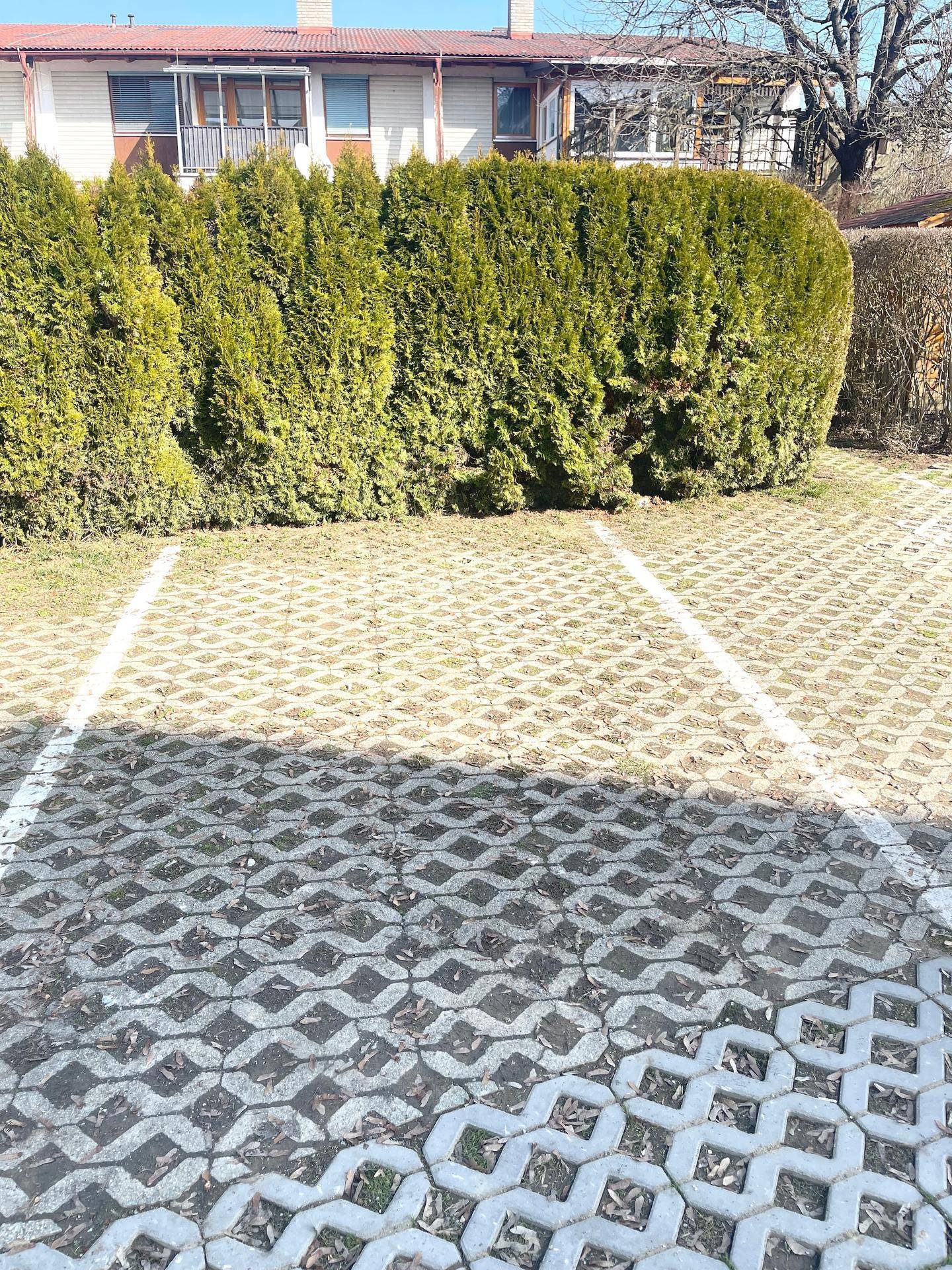 Parkplatz mit Rasengittersteinen und Hecke, bietet Stellfläche für Fahrzeuge.