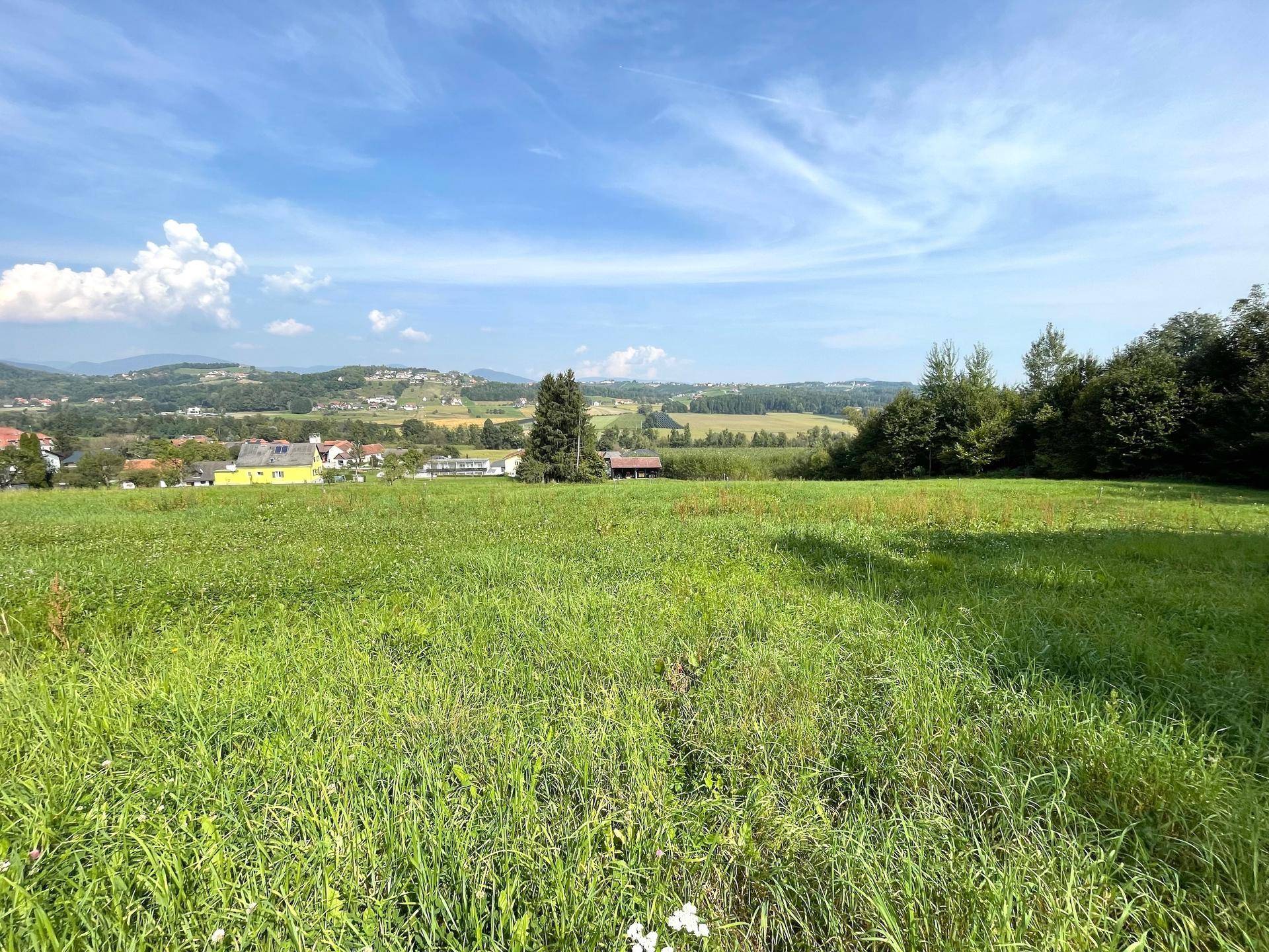 Weitläufige grüne Wiese mit Blick auf die ländliche Umgebung und vereinzelte Häuser.