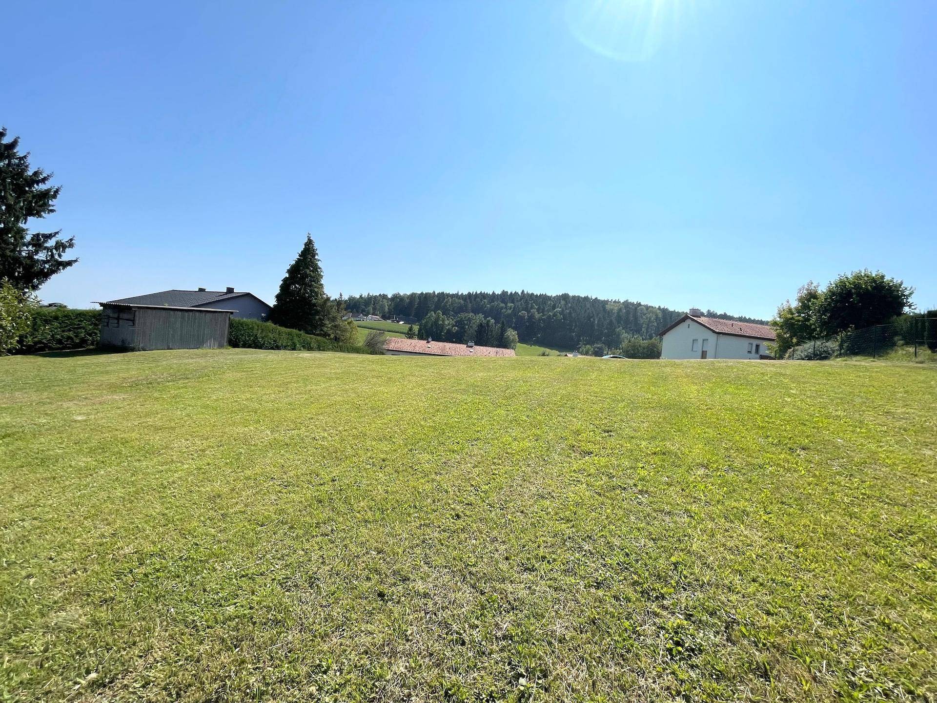 Große Rasenfläche unter blauem Himmel mit einem Holzschuppen und Bäumen im Hintergrund der Landschaft.