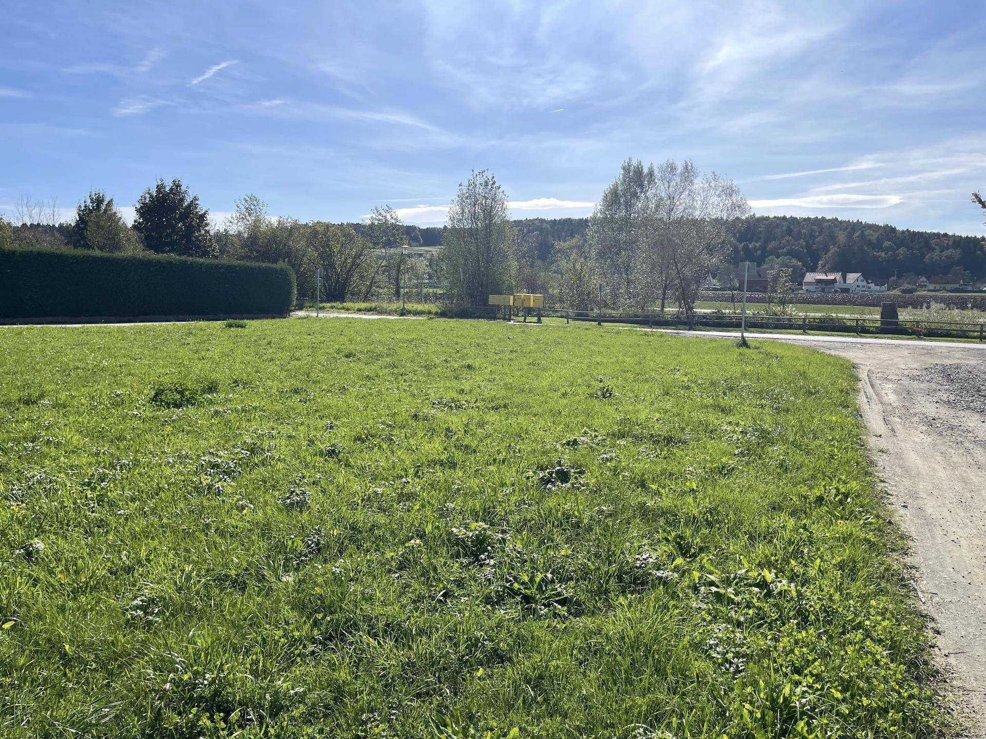 Weitläufige Wiesenfläche mit Hecke, einem Feldweg und ländlicher Umgebung an einem sonnigen Tag.