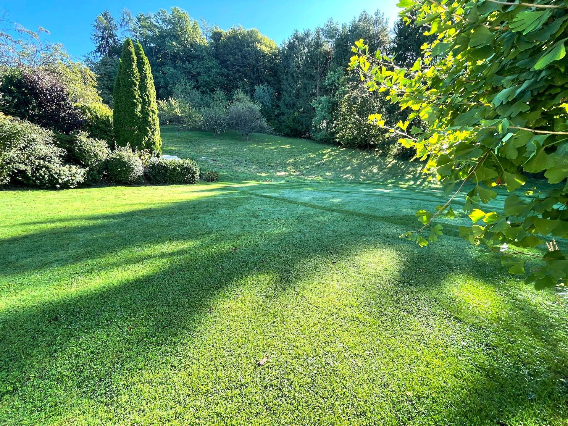Weitläufige, sonnige Rasenfläche mit Bäumen und Schattenwürfen, die sich sanft in die Landschaft einfügt.
