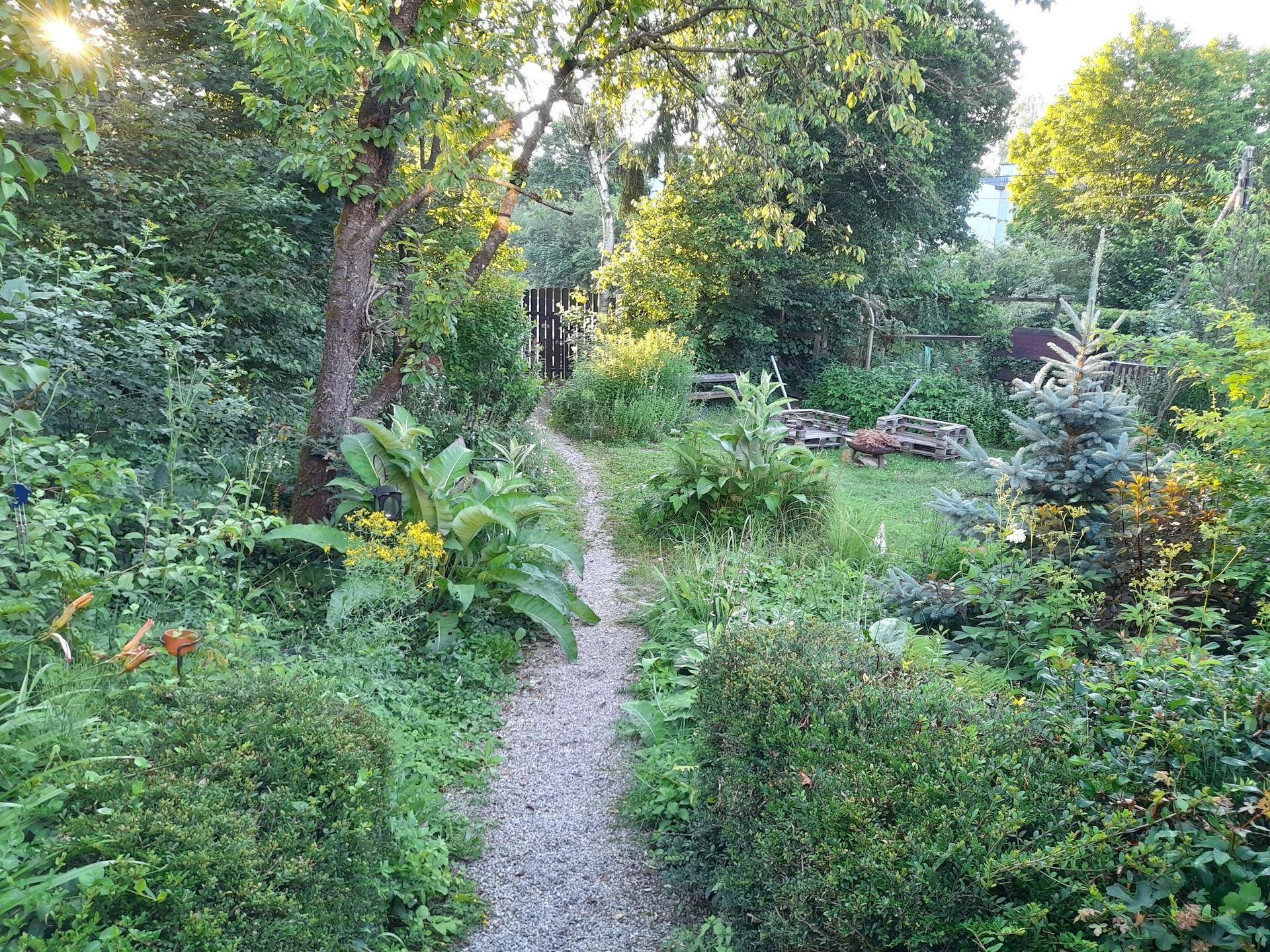 Verwunschener Gartenweg führt durch üppige Vegetation mit vielfältigen Pflanzen und Bäumen.