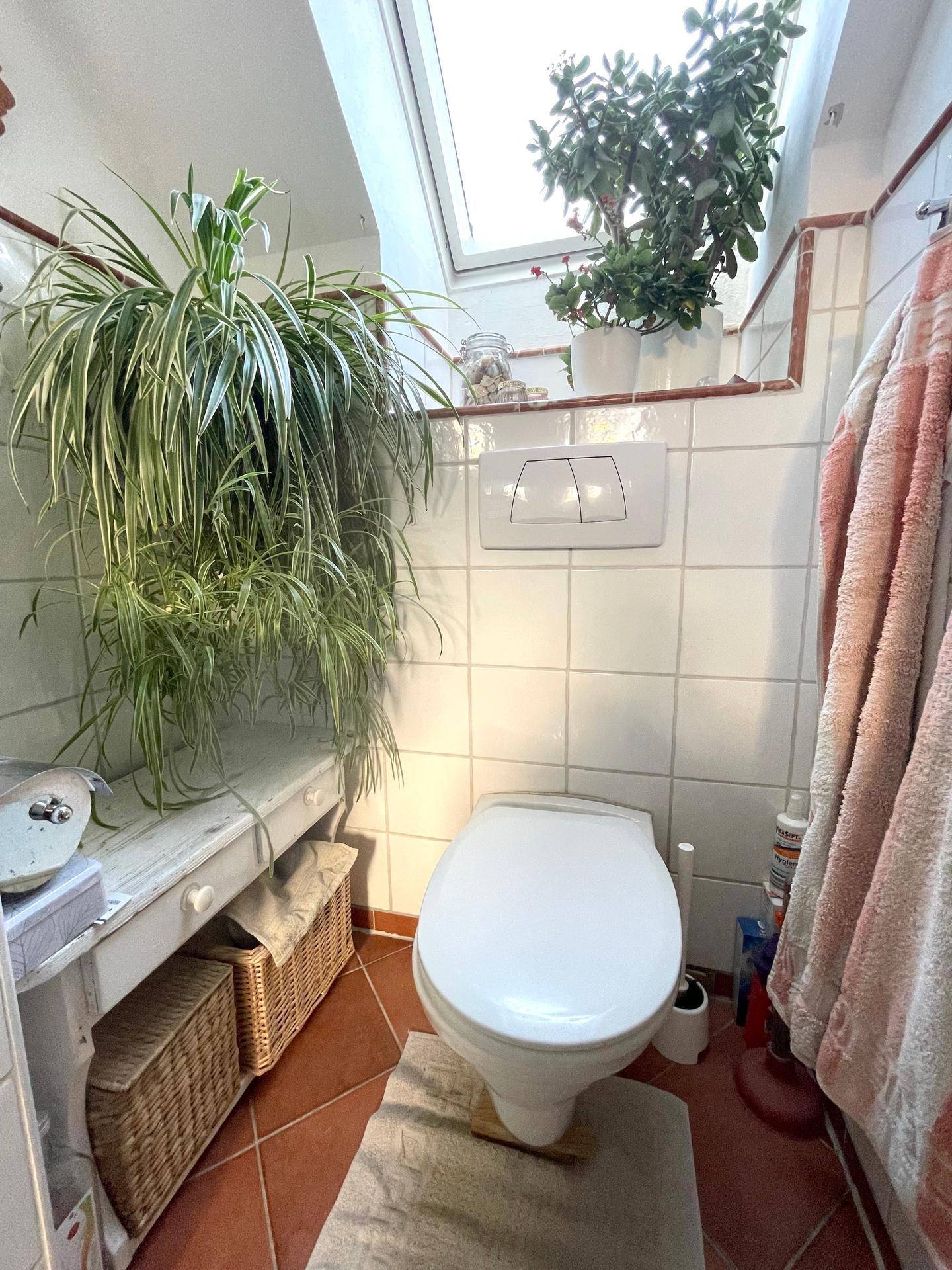 Helles WC im Dachgeschoss mit Fliesenboden, Dachfenster und Pflanzen.