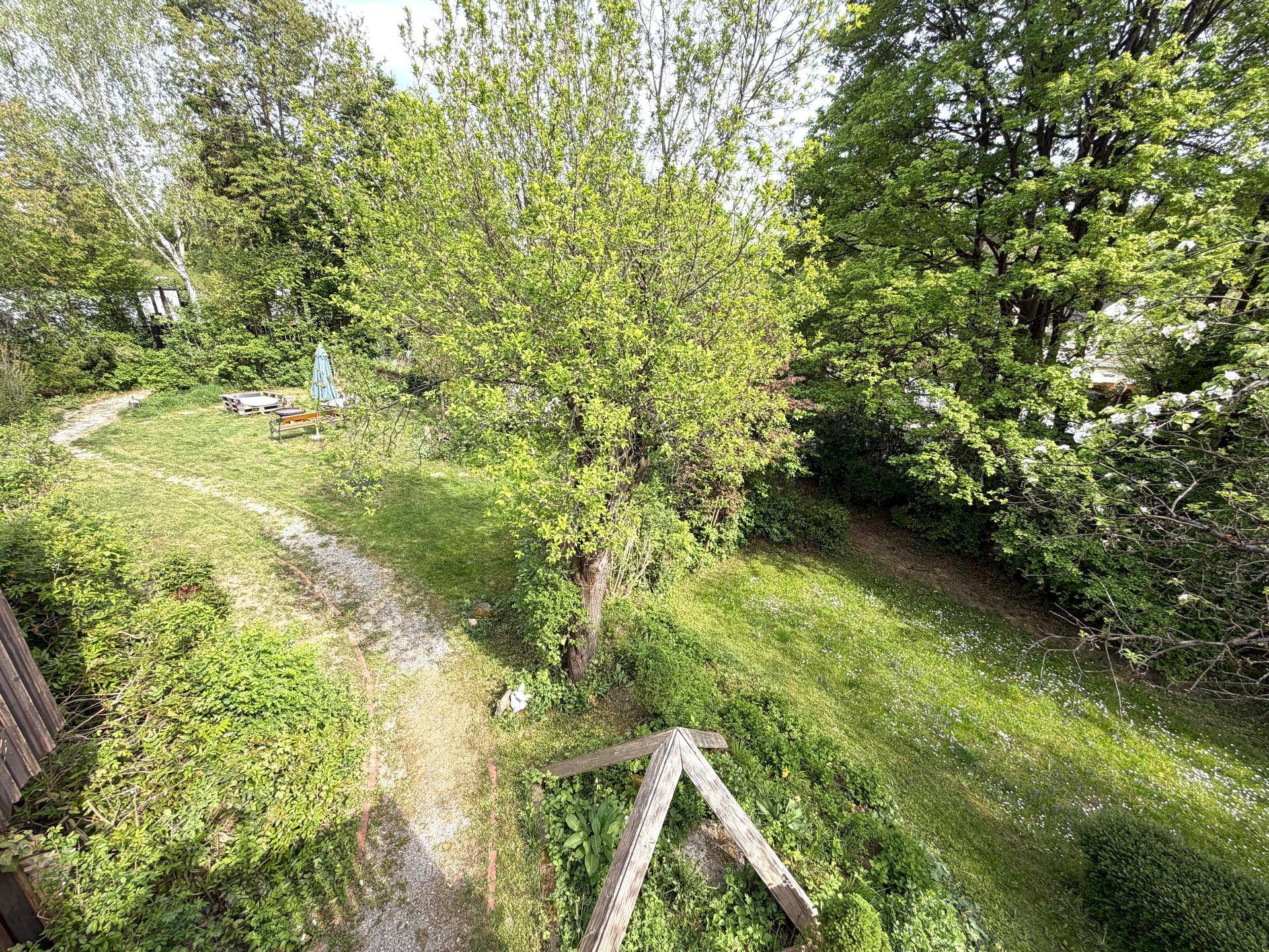 Weitläufiger Garten mit Rasenflächen, Bäumen und Sitzgelegenheit im Grünen.