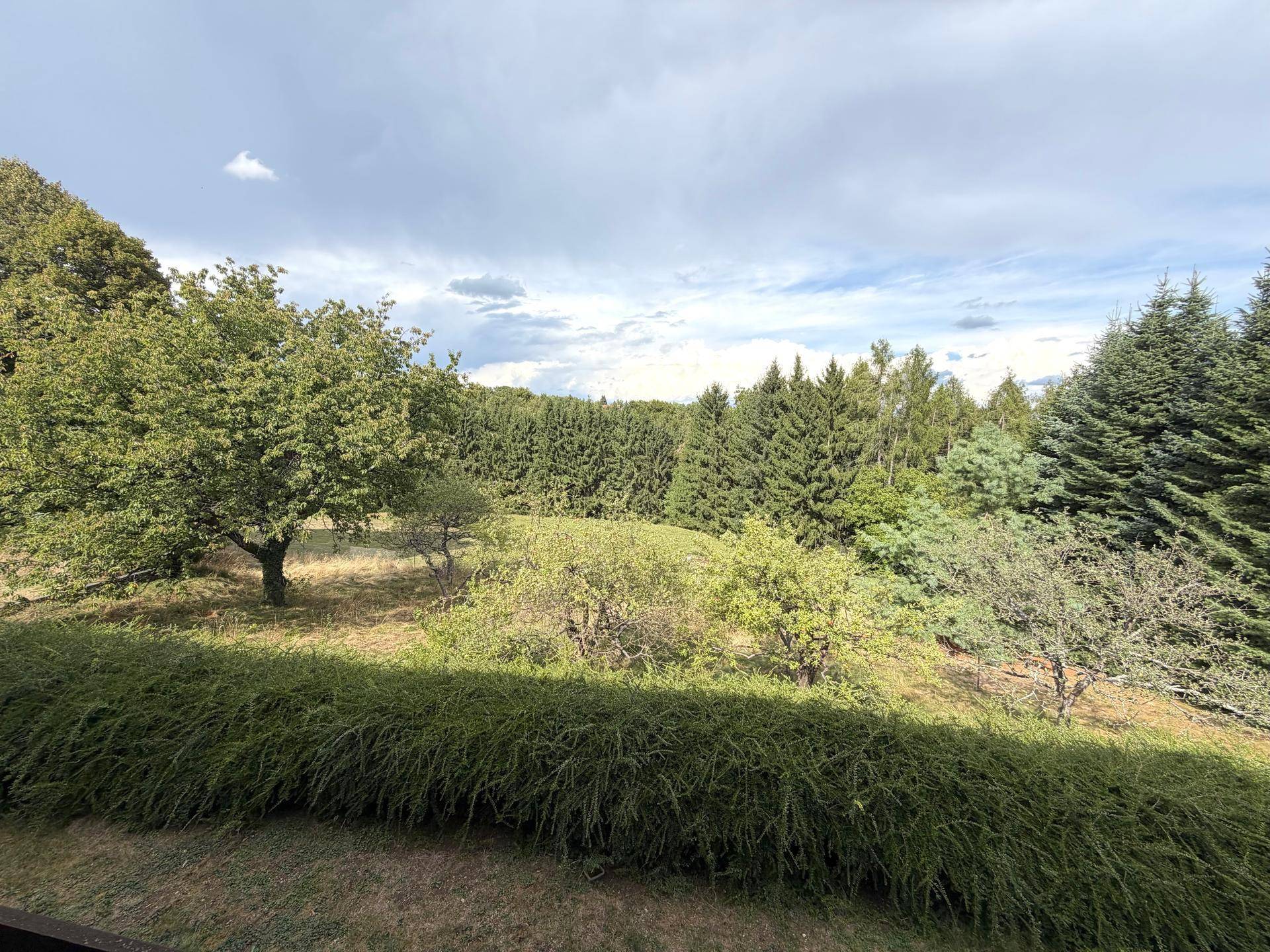 Panoramablick auf die umliegende Natur mit Wäldern und Obstbäumen unter bewölktem Himmel.