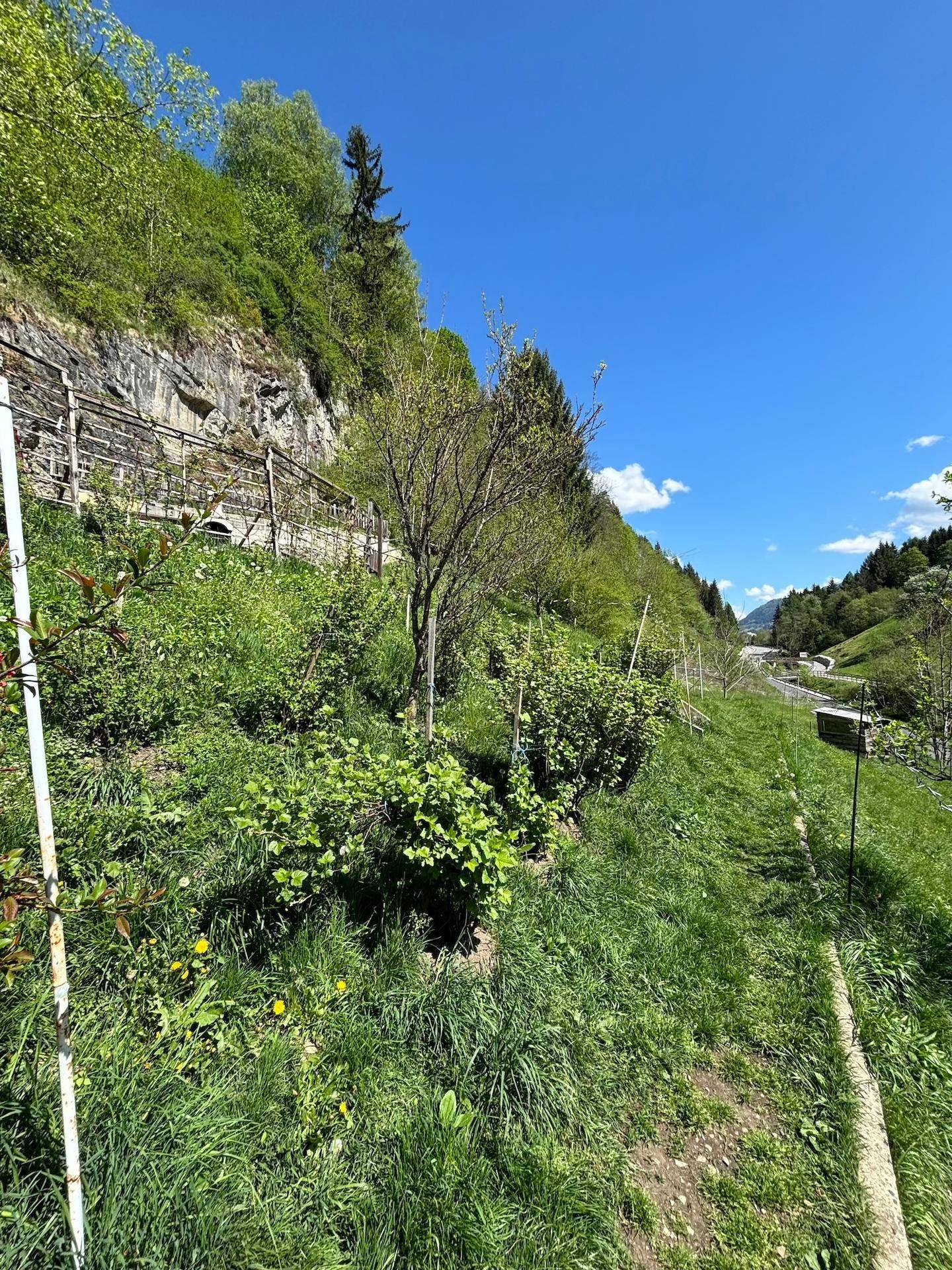 Slide 21