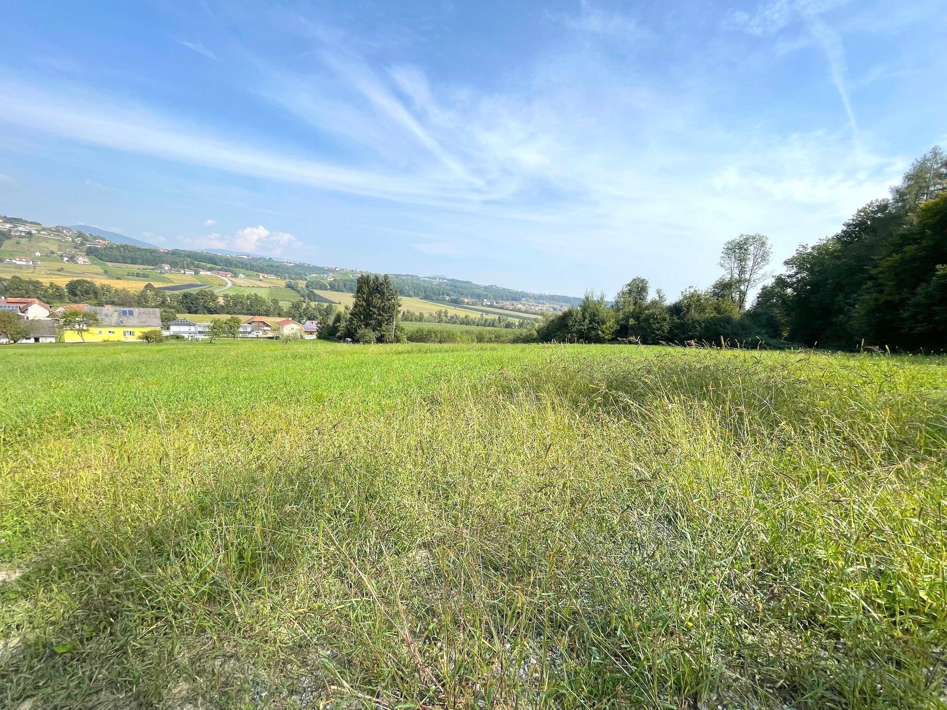 Weitläufige grüne Landschaft mit einem Dorf in der Ferne unter einem klaren blauen Himmel.