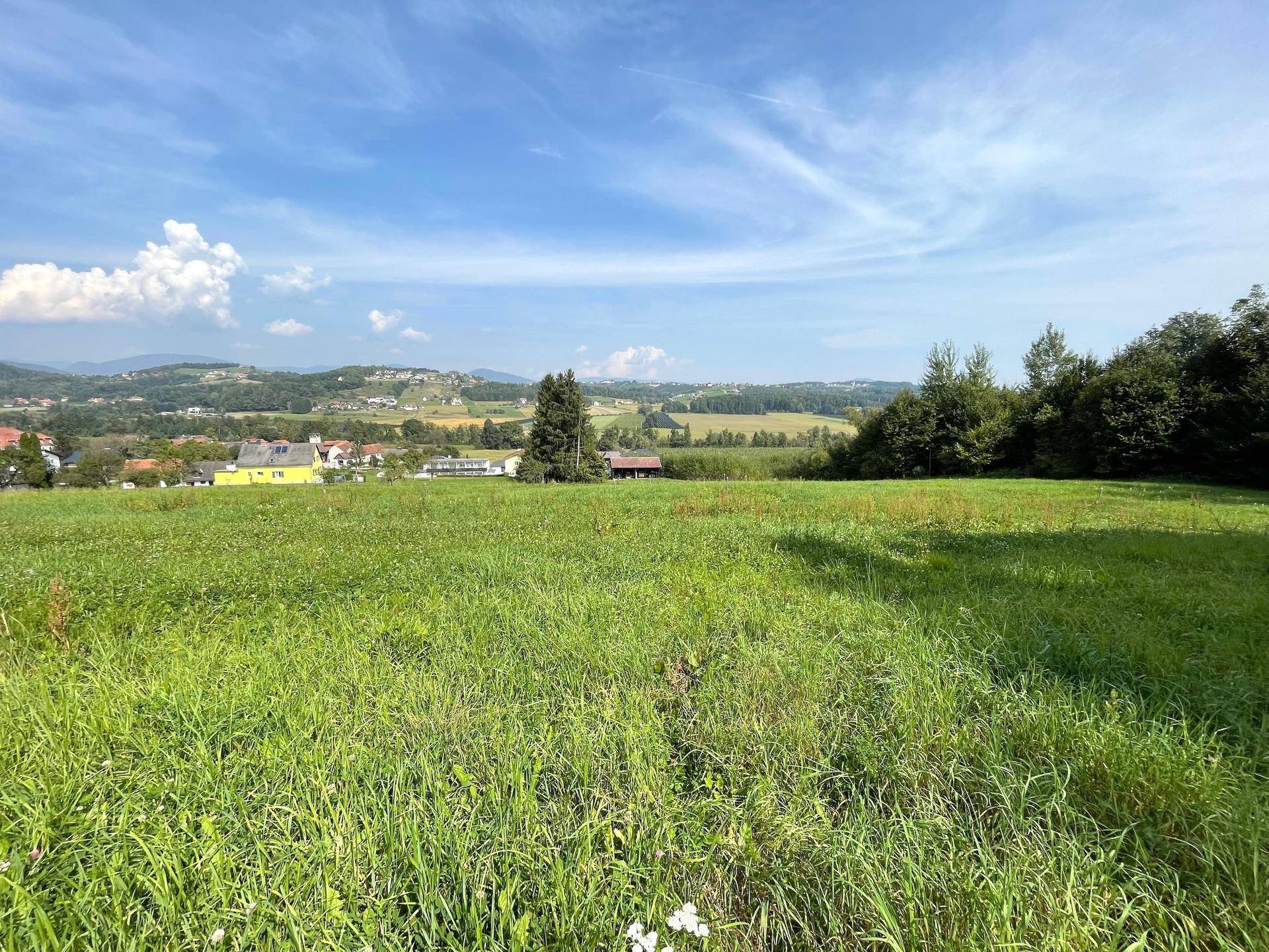 Sonnige grüne Wiese mit Blick auf eine ländliche Siedlung und bewaldete Hügel.