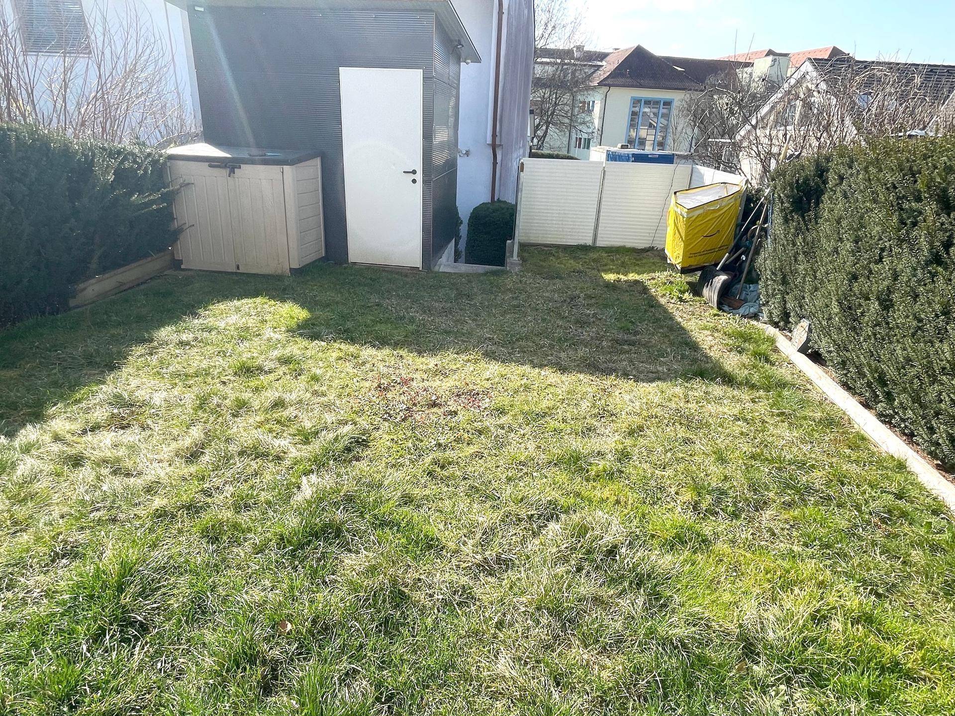 Gepflegter Rasenbereich im Garten mit Hecken und Gartenhaus im Hintergrund.
