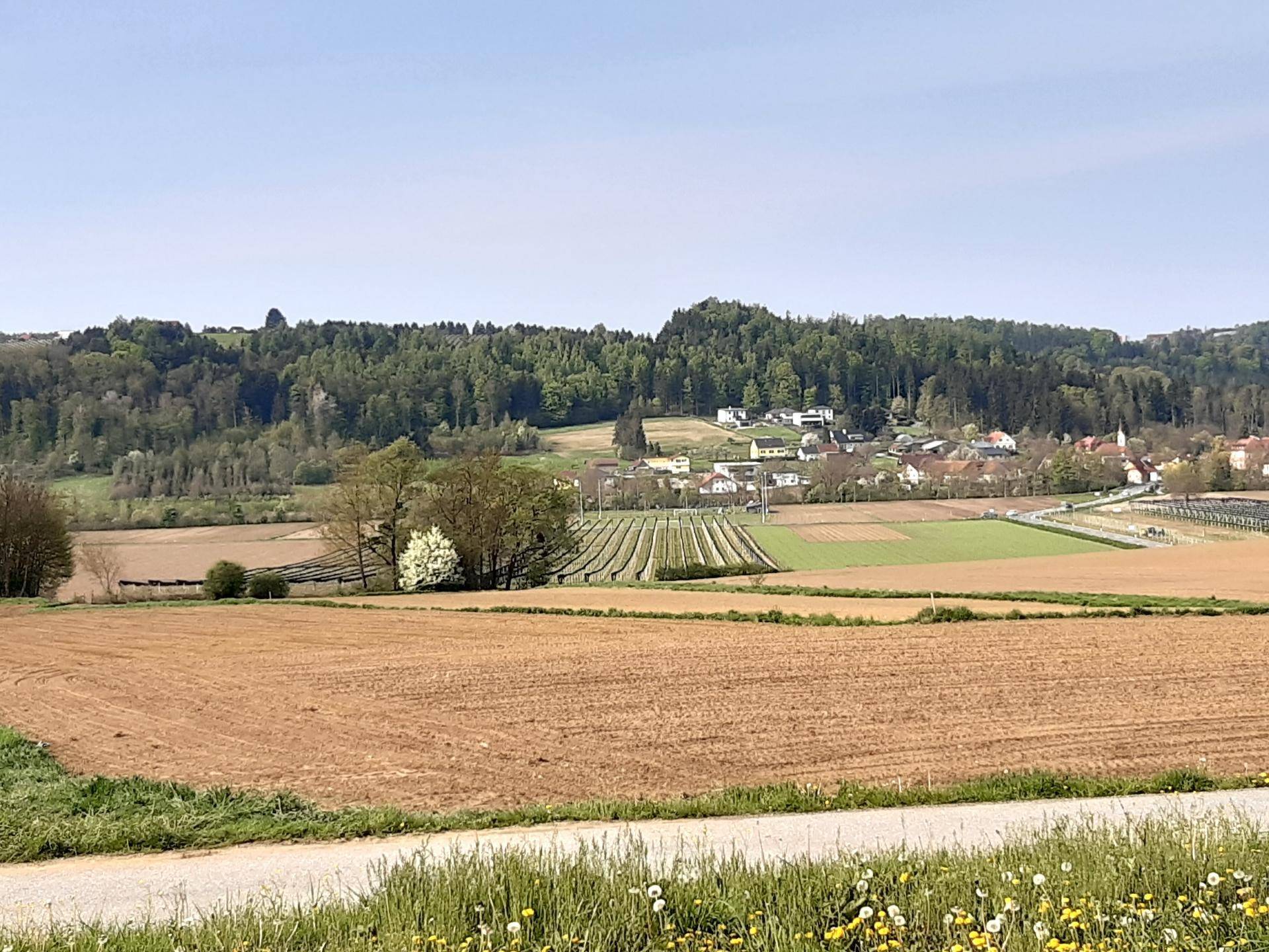Ländliche Landschaft mit braunen Feldern, grünen Wäldern und einem Dorf in der Ferne.
