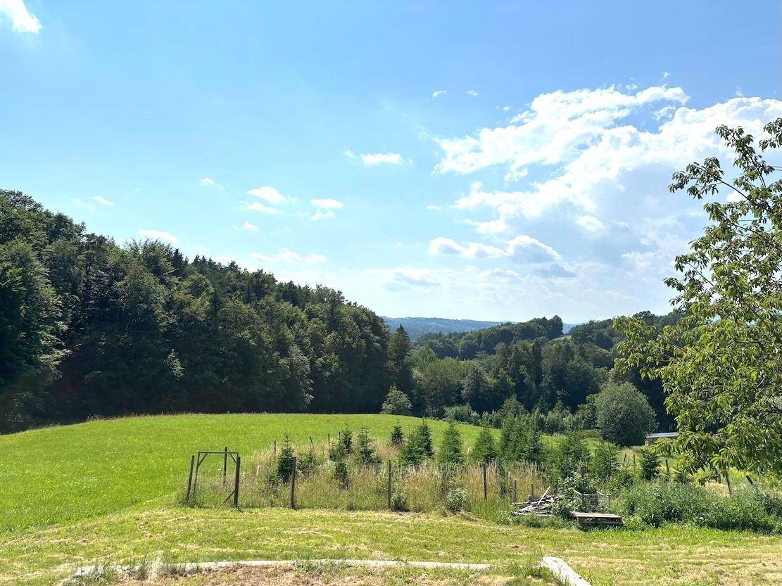 Weitläufige Landschaft mit grünen Feldern und dichten Wäldern unter blauem Himmel.