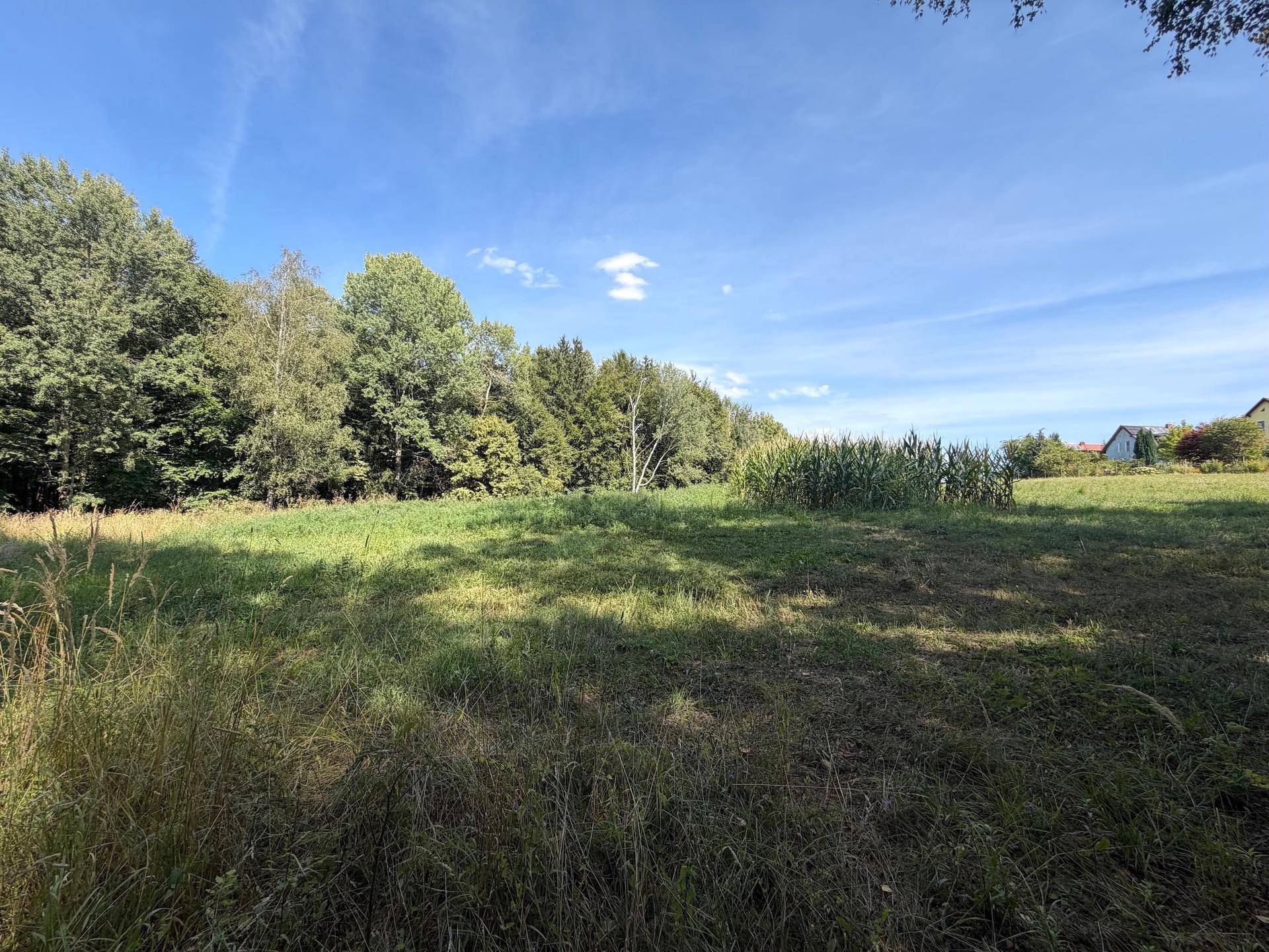 Offene Wiesenfläche mit Wald im Hintergrund und vereinzelten Häusern in der Ferne.