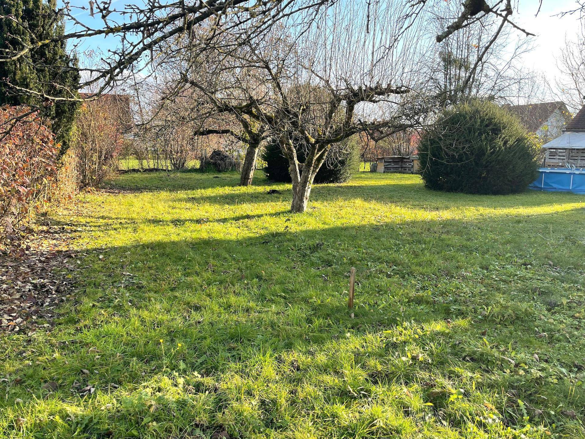 Weitläufiger Garten mit mehreren Obstbäumen und einem kleinen Aufstellpool im Hintergrund.