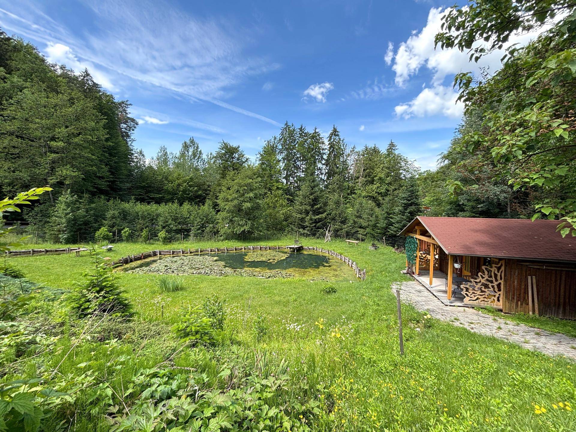 Natürlicher Teich und eine Holzhütte im Grünen, umgeben von Bäumen und Wiesen.