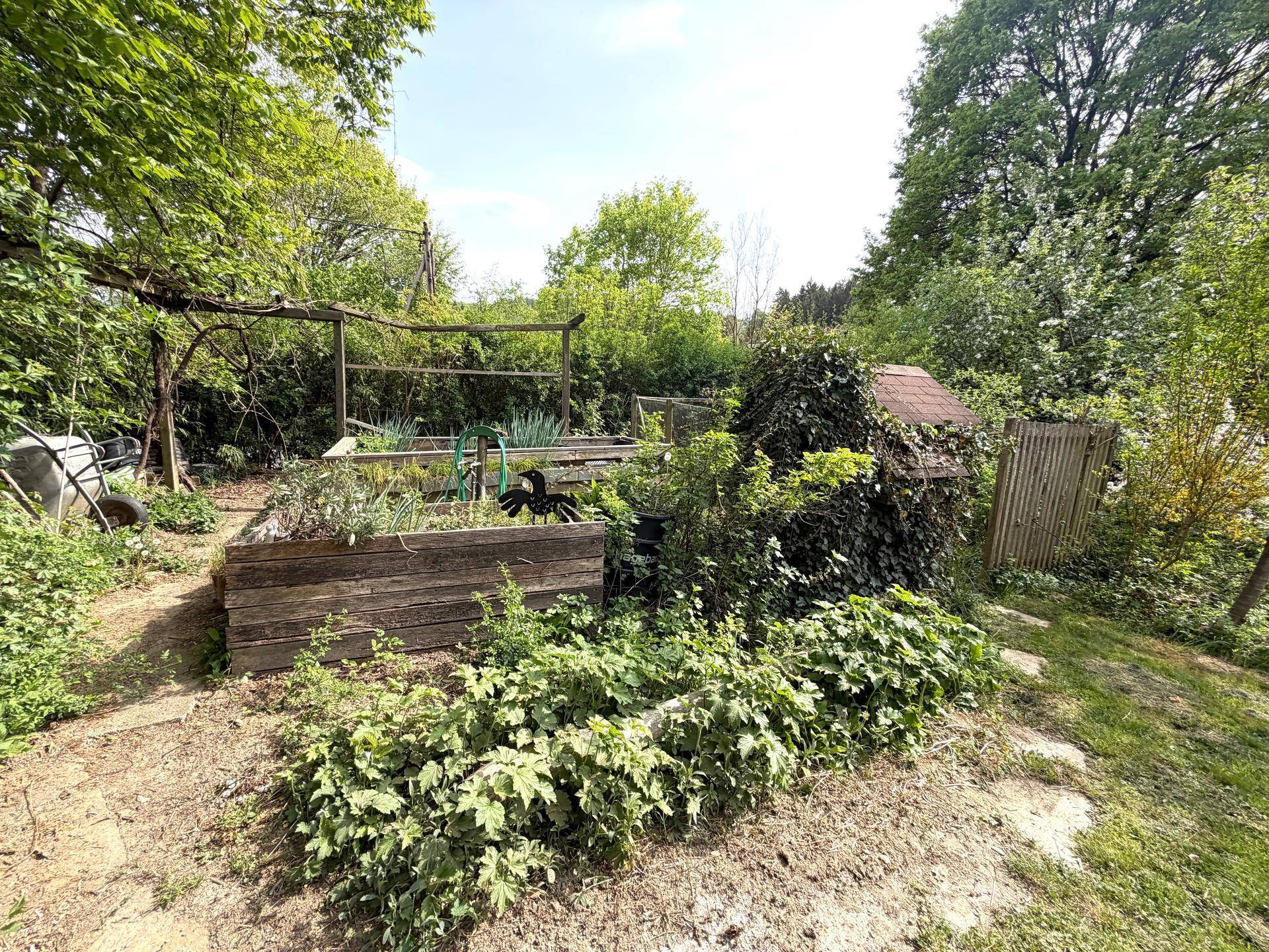 Angelegte Hochbeete und ein kleiner Geräteschuppen in einem naturnahen, grünen Gartenbereich.