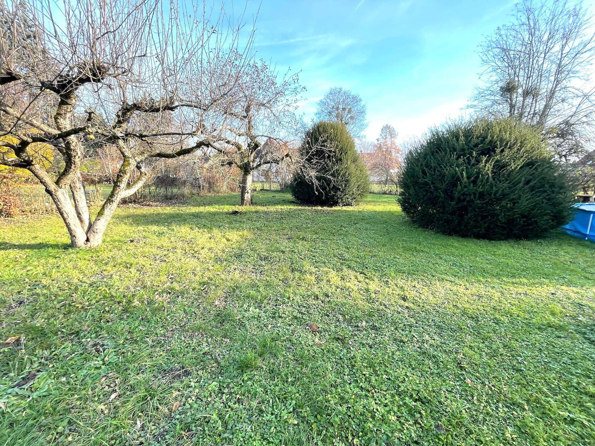 Heller Gartenbereich mit alten Obstbäumen und dichten Büschen, ideal für Naturliebhaber.
