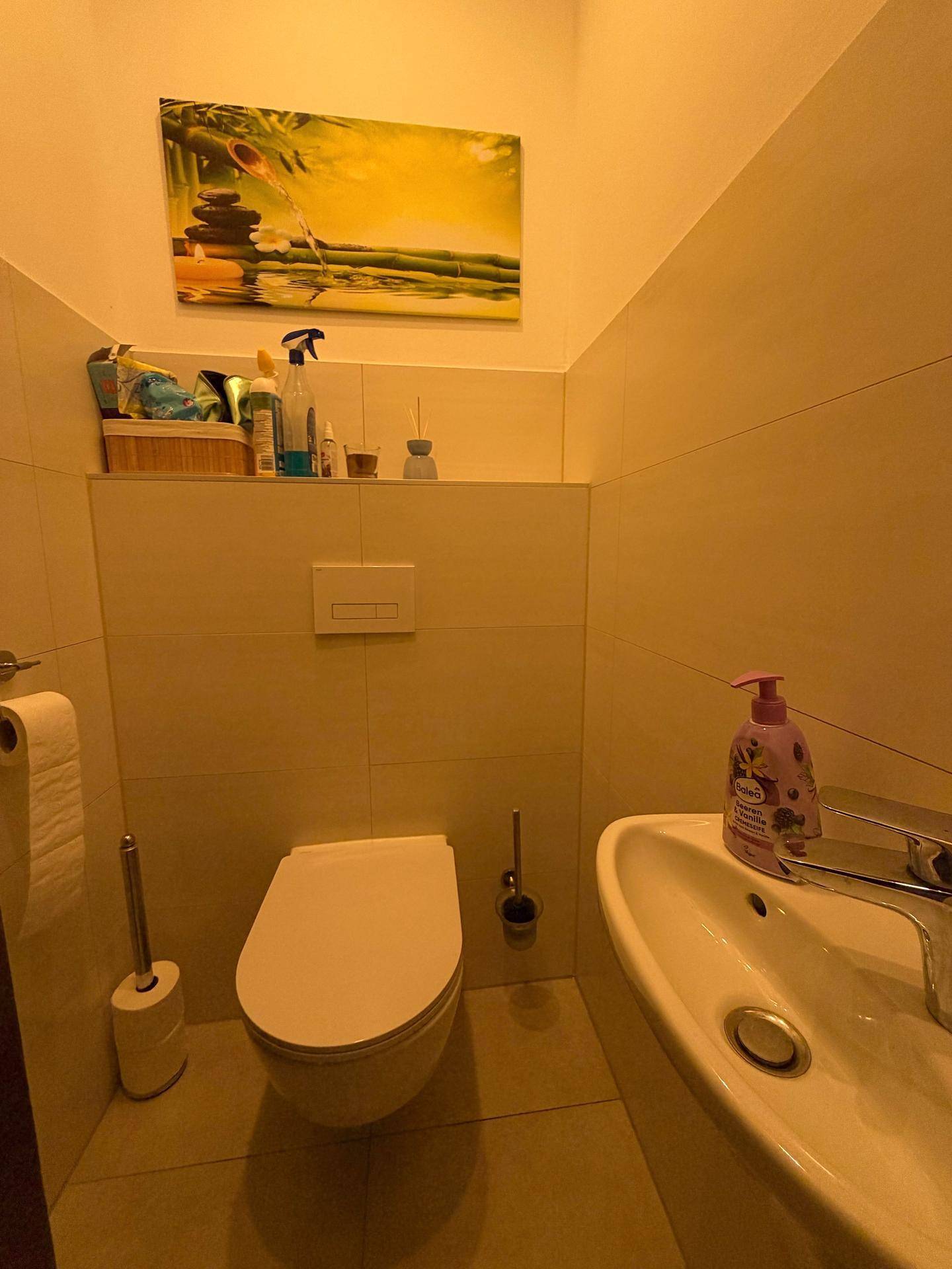 Kleines Gäste-WC mit Wand-WC und Waschbecken, funktional und sauber gefliest.