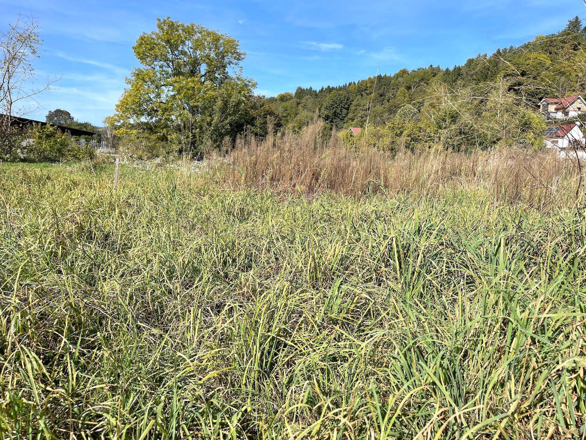 Unbebautes Grundstück mit hohem Gras und Blick auf bewaldete Hügel und vereinzelte Häuser.