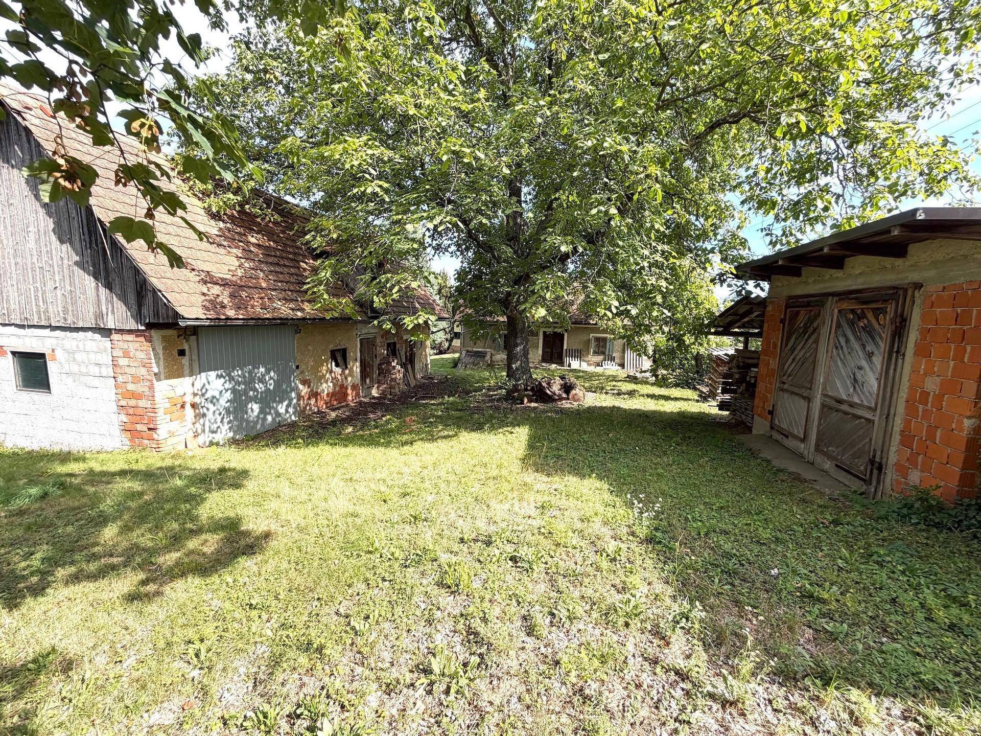 Großer Hinterhof mit altem Baumbestand, Nebengebäuden und viel Platz im Freien.