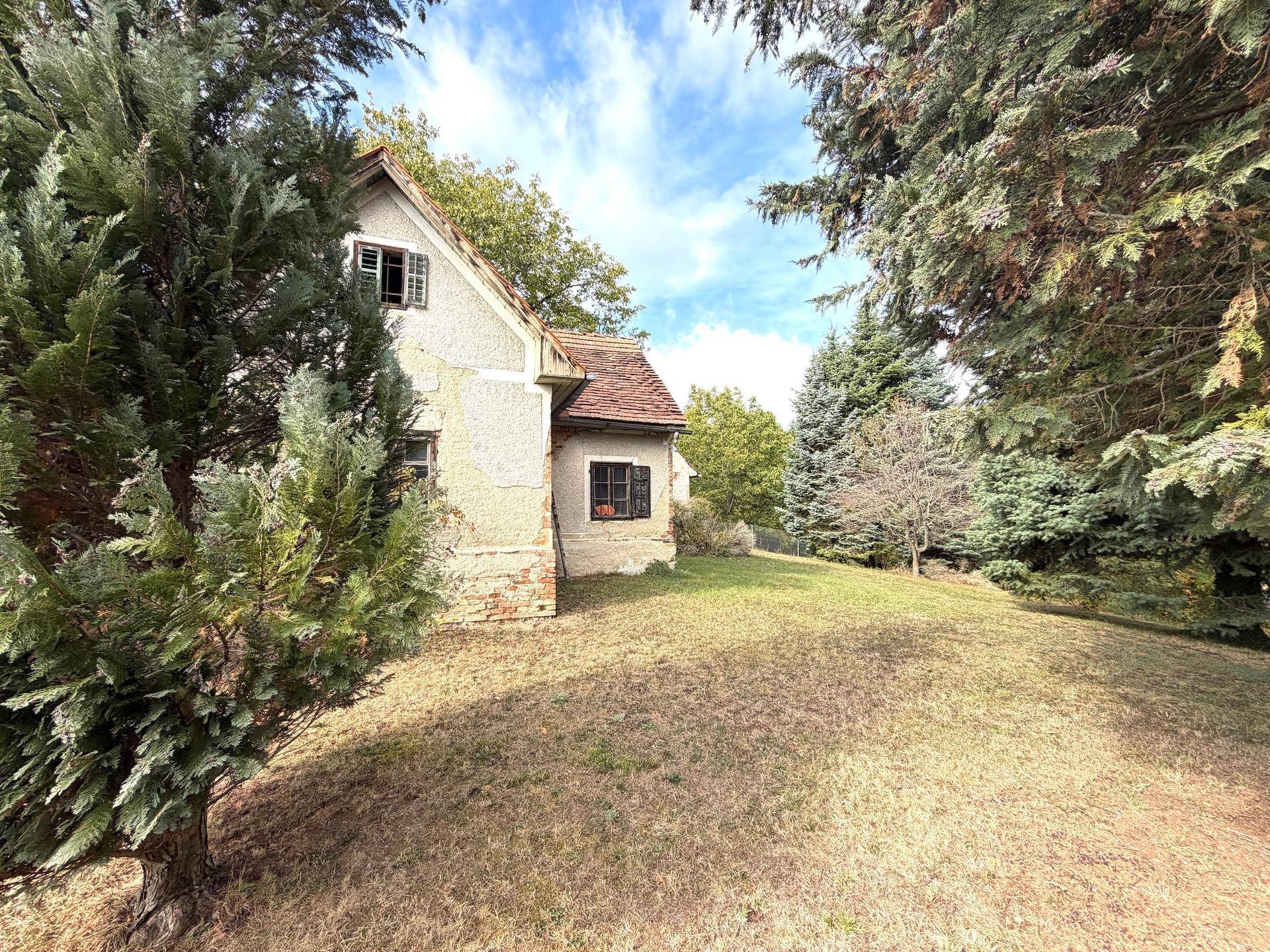 Blick auf die Hausseite durch Bäume, umgeben von einem großen, grünen Grundstück.