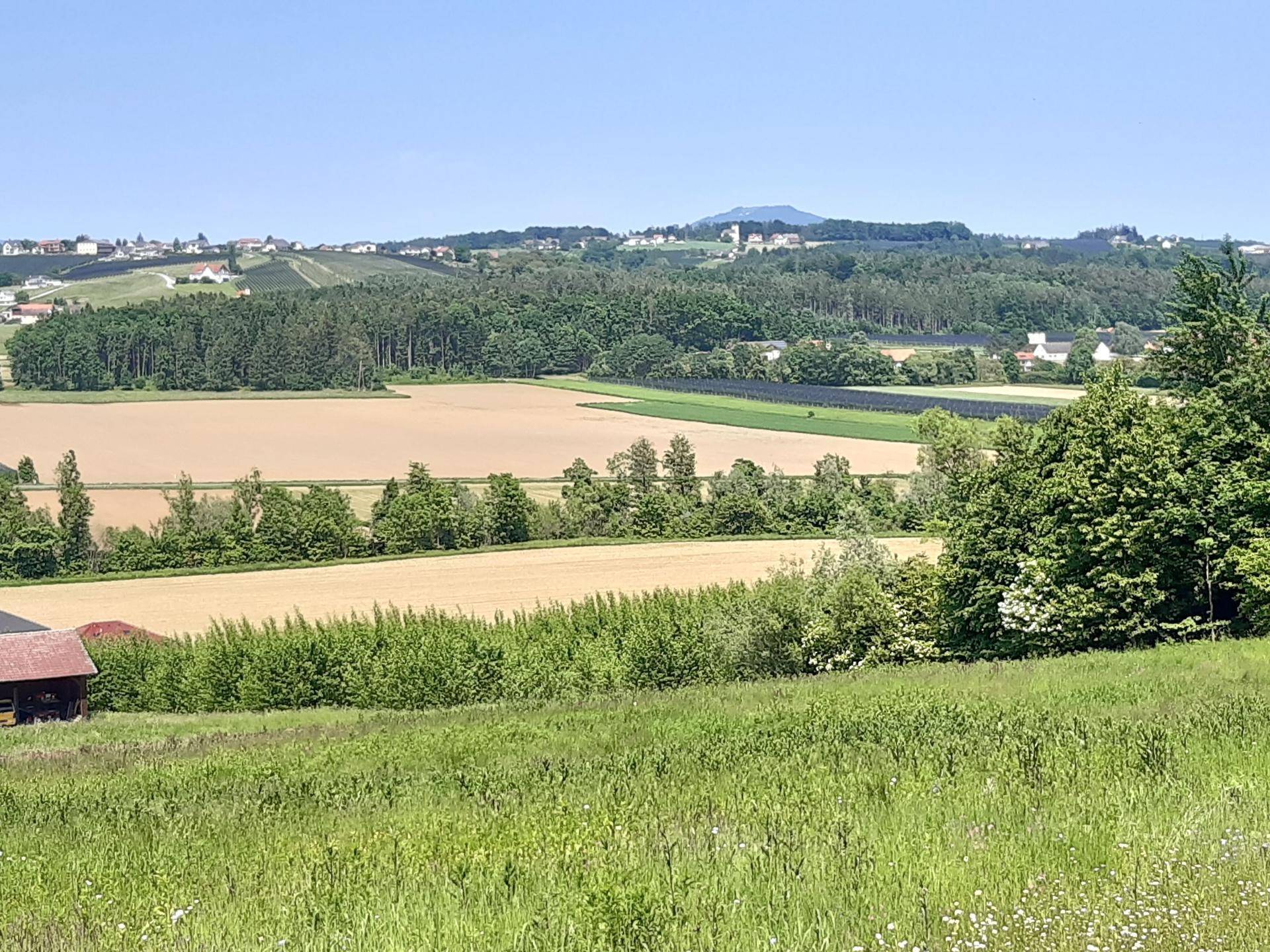 Panoramablick über weite Felder und Wälder mit einem Dorf in der Ferne unter klarem Himmel.
