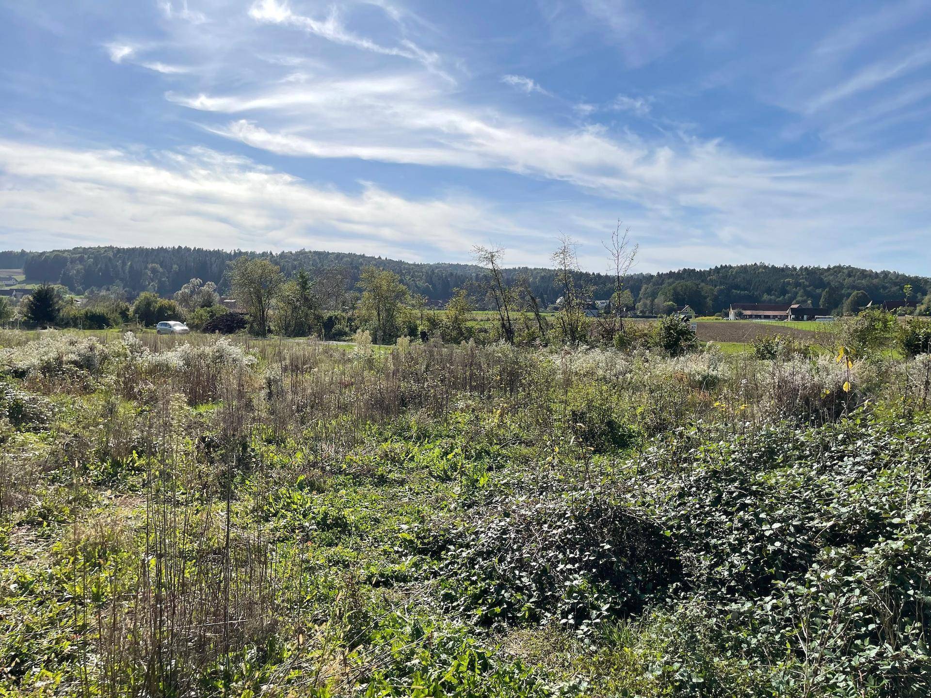 Offenes Feld mit wilder Vegetation und weitem Blick über die ländliche Umgebung unter blauem Himmel.