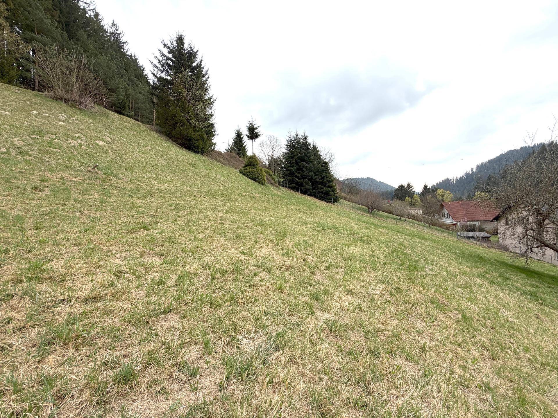 Hanglage mit Wiesen und Wald, im Hintergrund sind Häuser und eine ländliche Umgebung erkennbar.