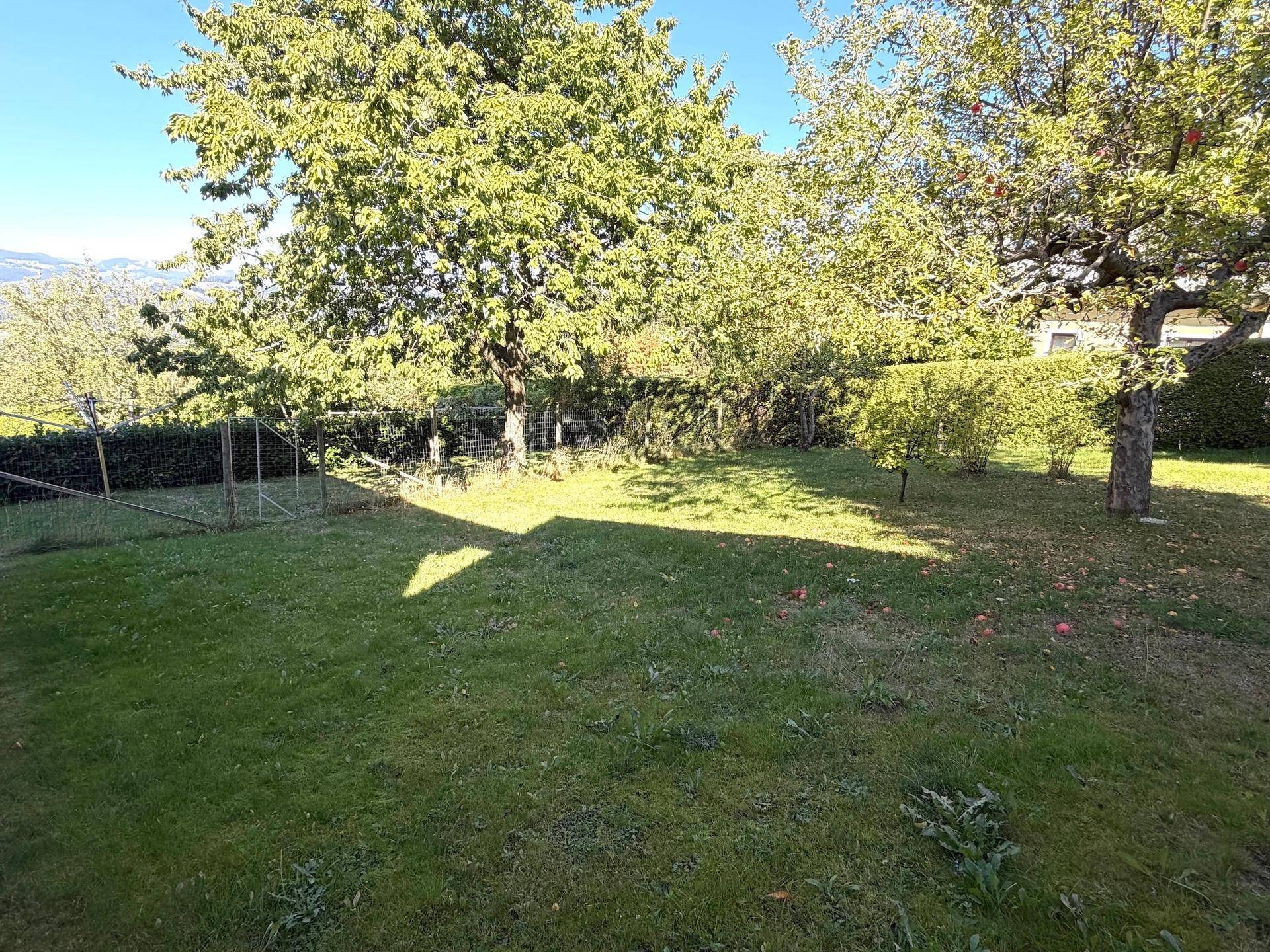 Slide 42