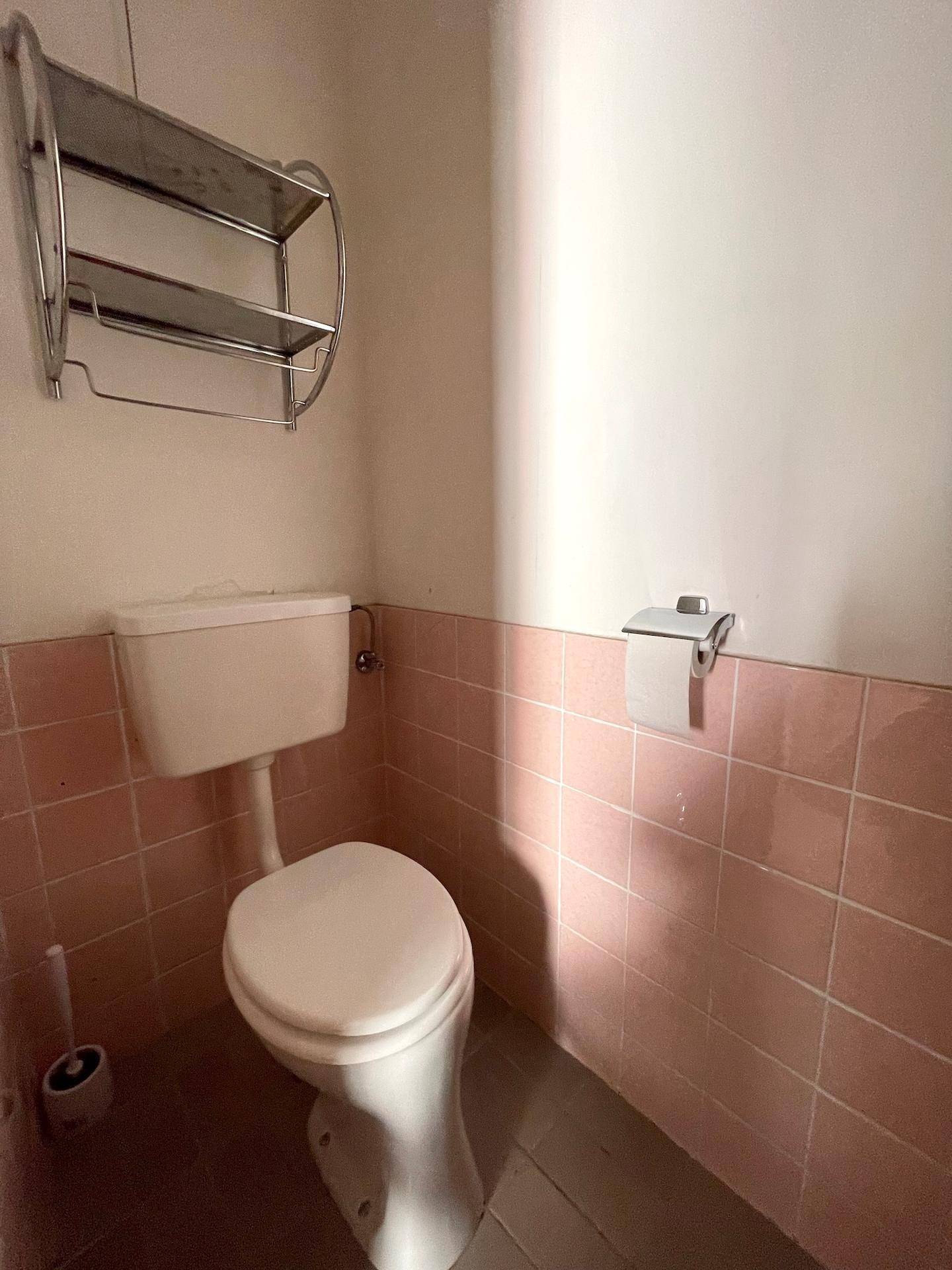 Separate Toilette mit rosa Fliesen und klassischer Ausstattung.