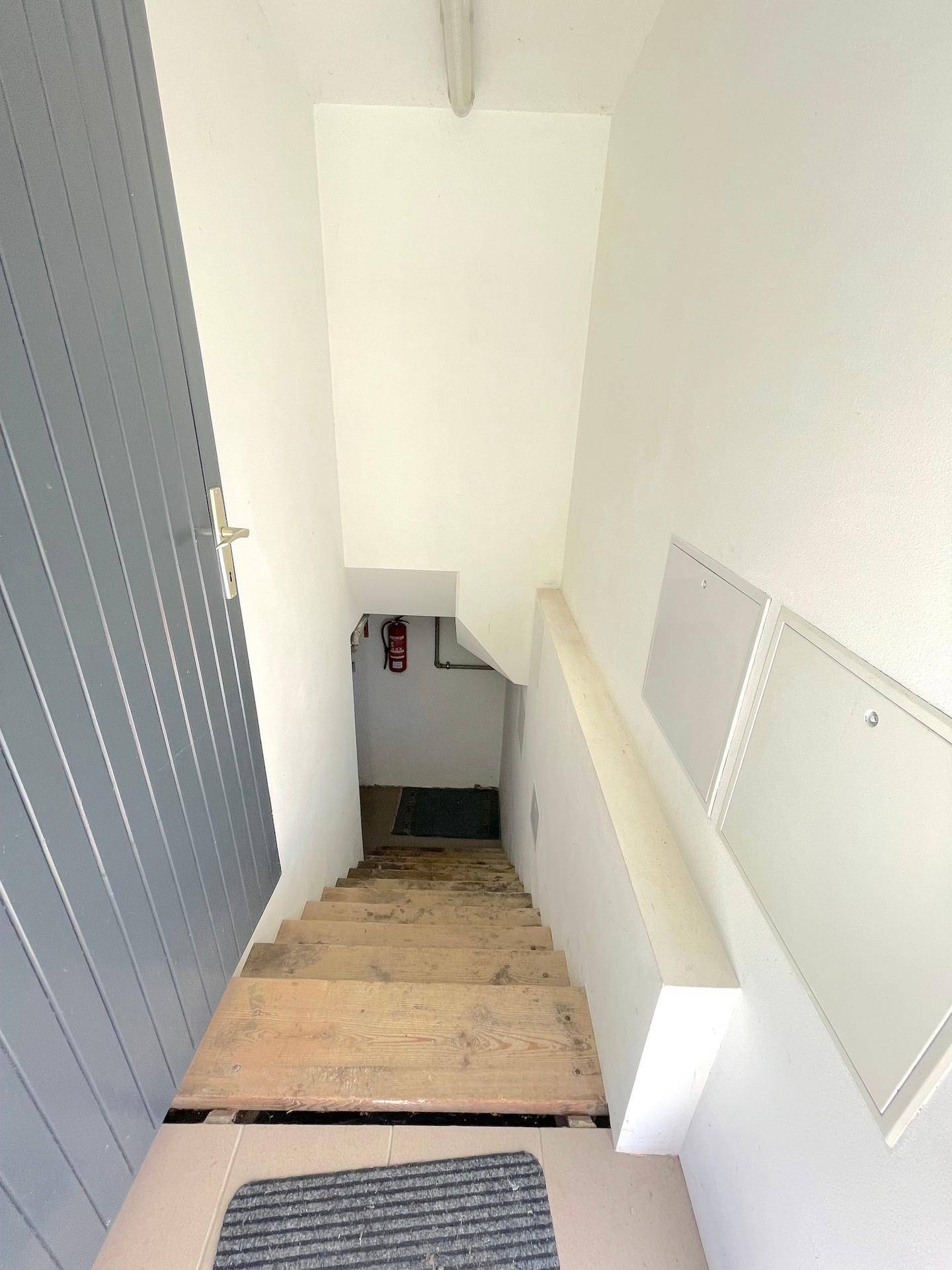 Treppe führt hinunter in den Kellerbereich mit weißen Wänden und einfachen Holzstufen.