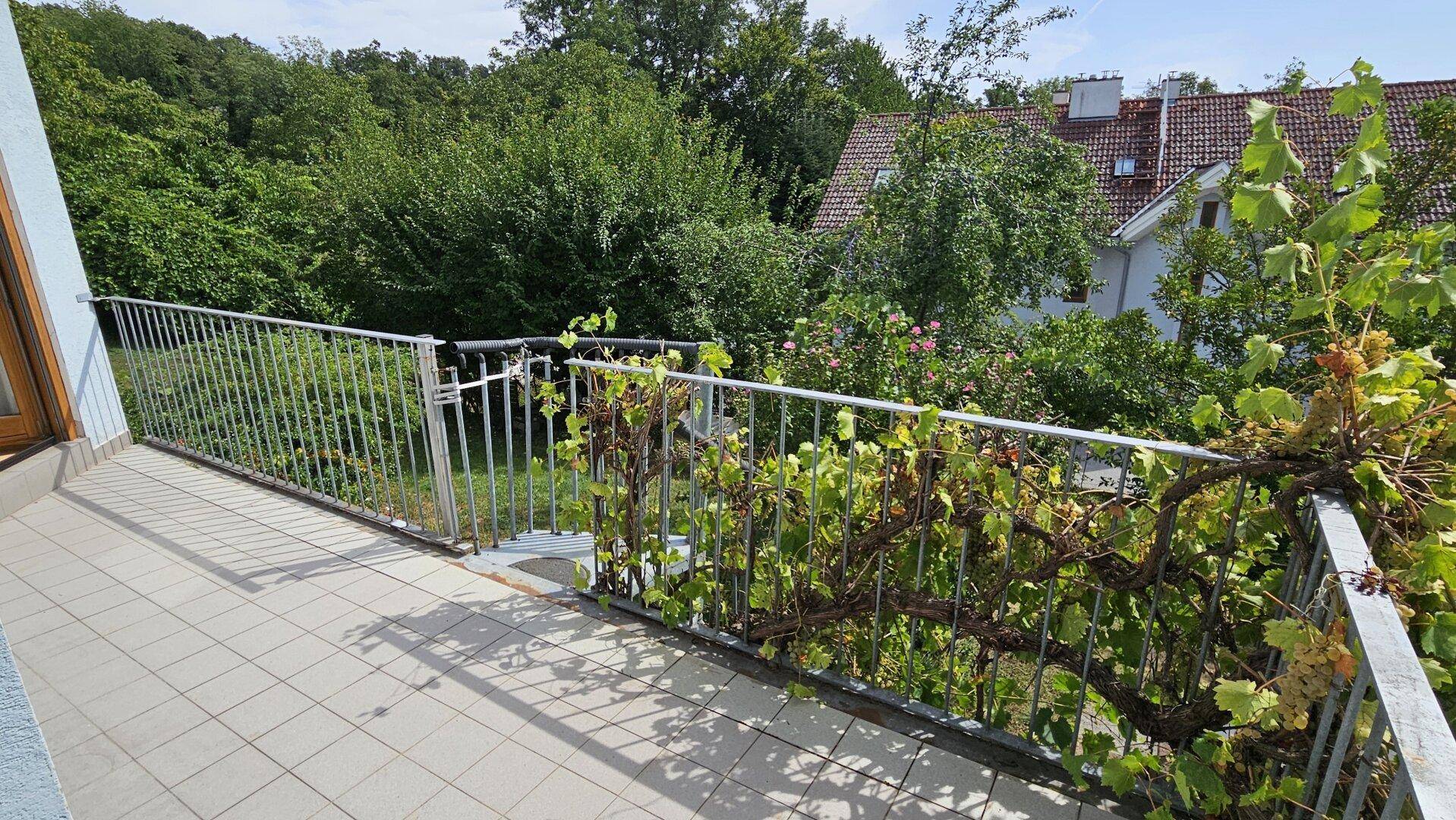 Balkon mit Fliesenboden und üppiger Begrünung, bietet einen Blick ins Grüne.