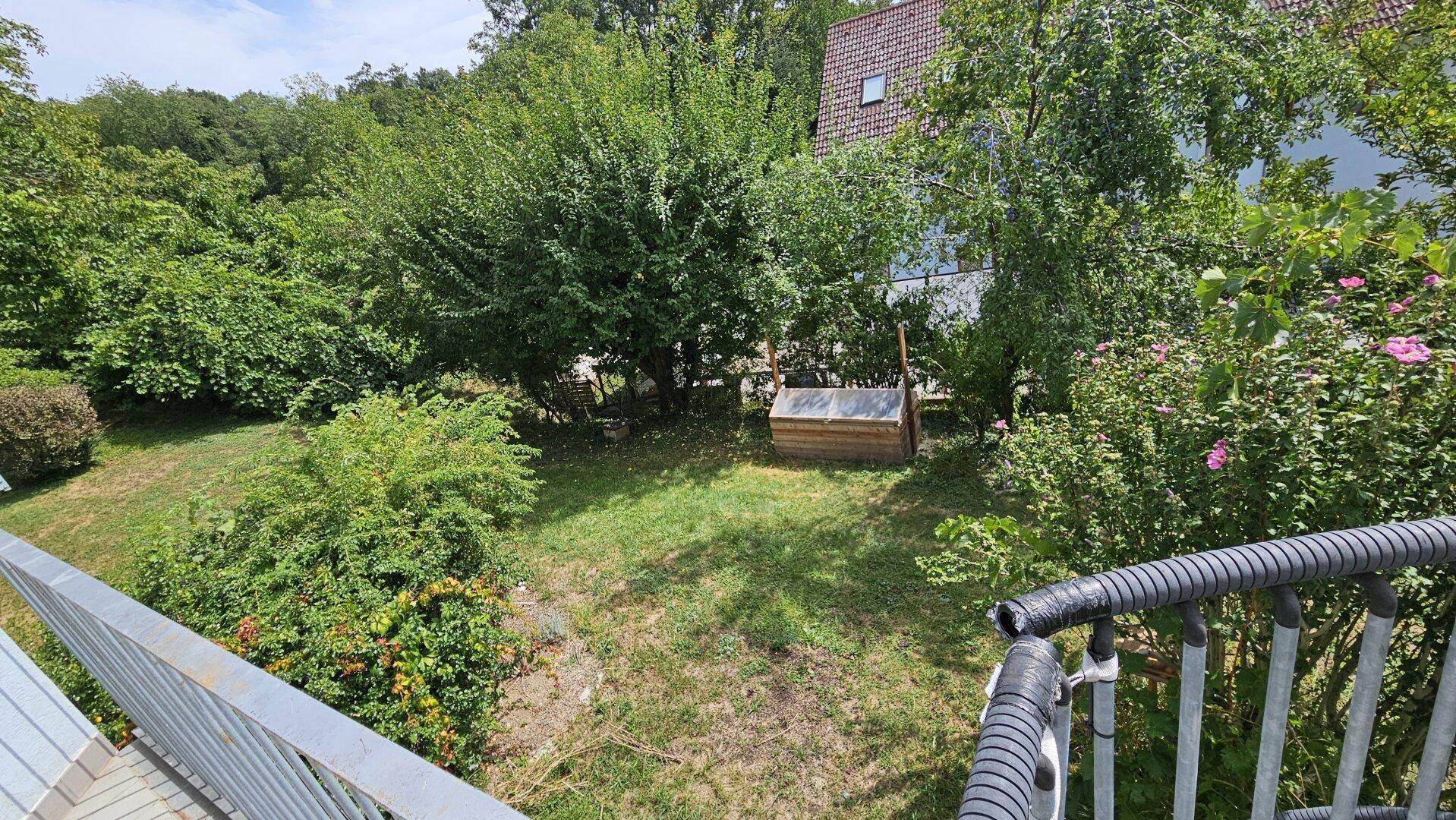 Blick auf einen gepflegten Gartenbereich mit Rasen, Büschen und Bäumen.